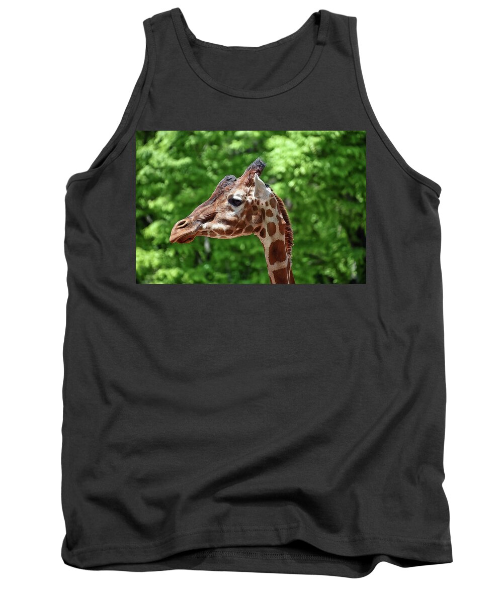 Giraffe Tank Top featuring the photograph The Big Guy by Kuni Photography