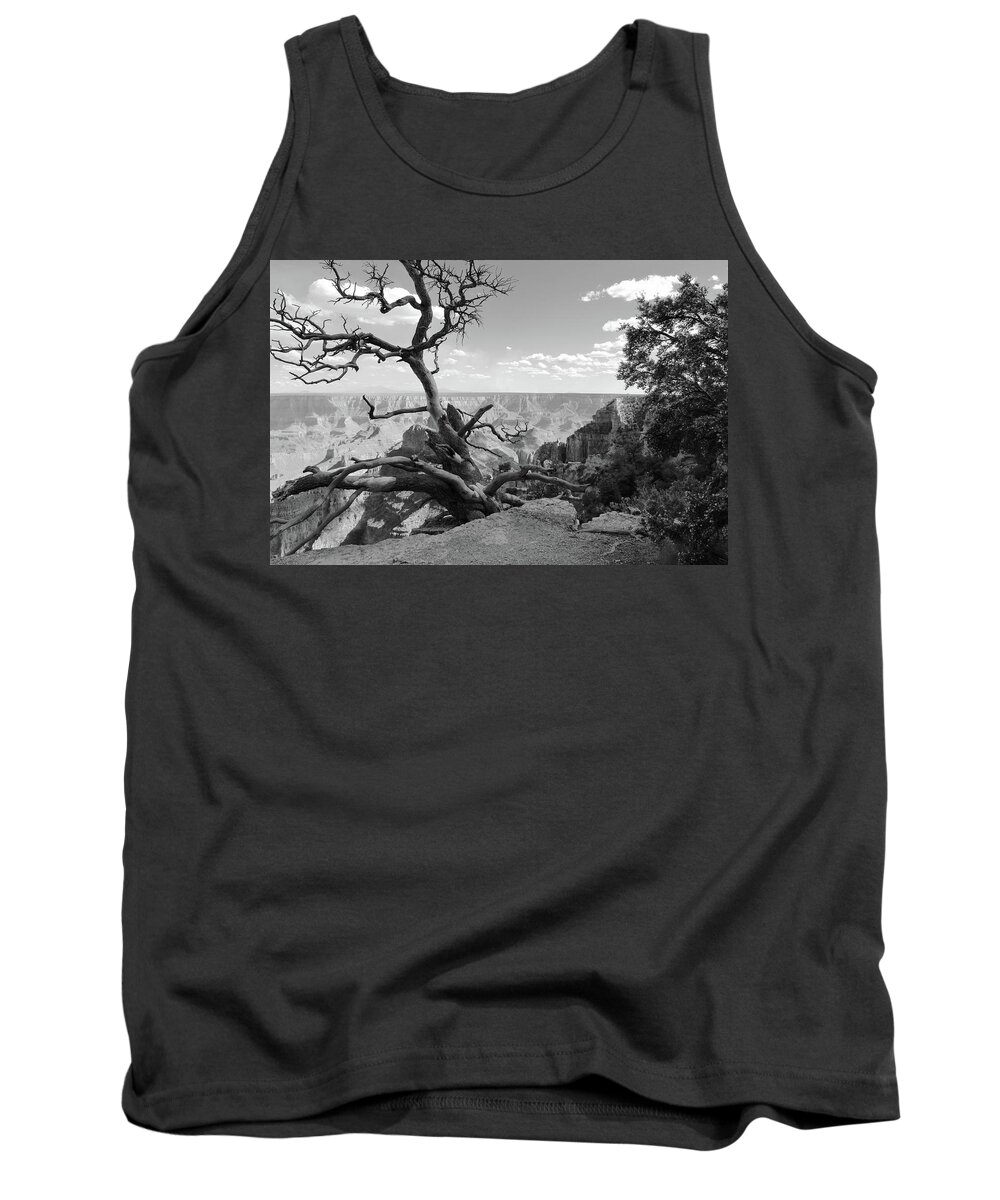 Dead Tree Tank Top featuring the photograph The Canyon's Edge BW by David Diaz