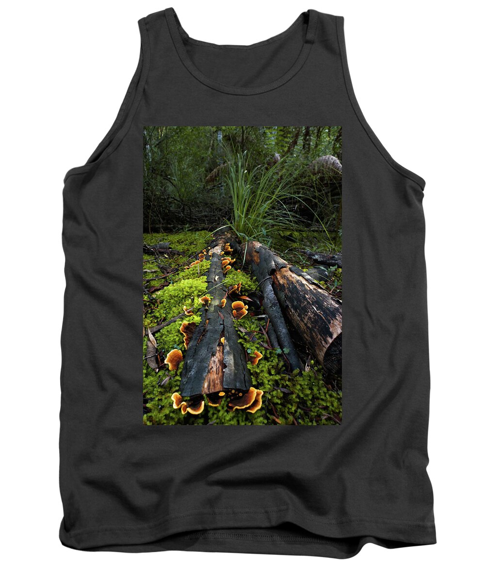 Forest Tank Top featuring the photograph The Forest Floor by Anthony Davey