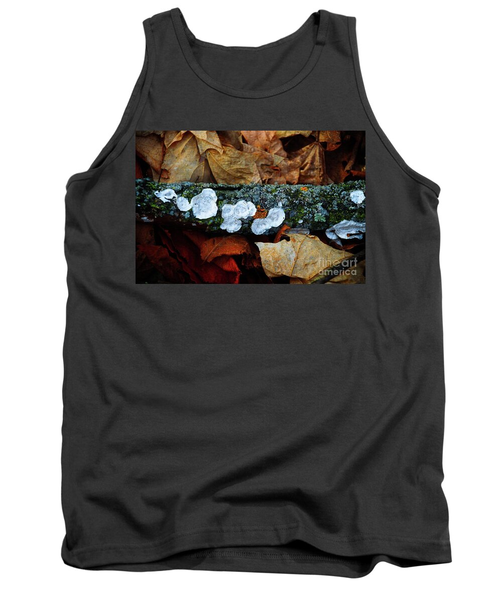 The Forest Floor Tank Top featuring the photograph The Forest Floor - Cascade WI by Mary Machare