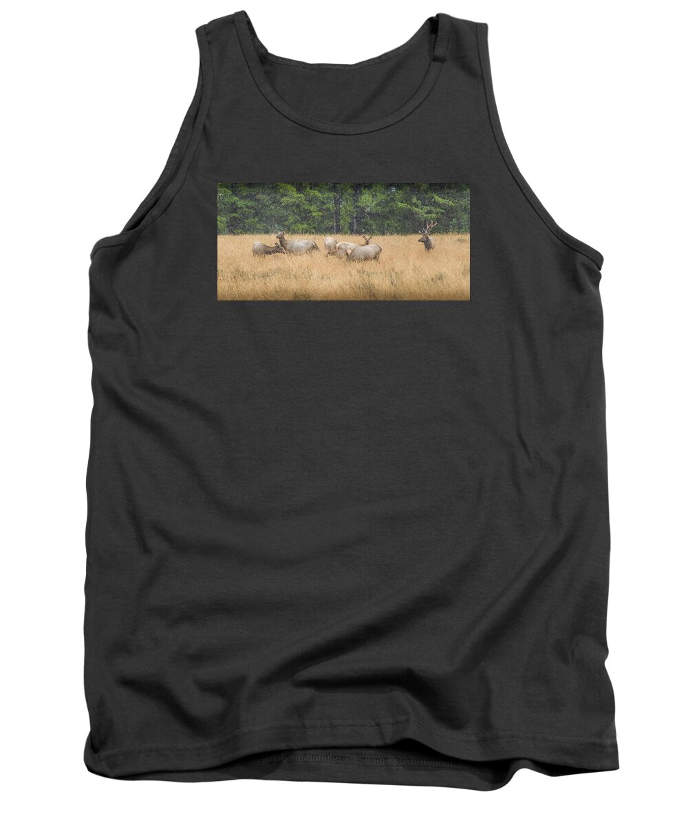 Dakota Tank Top featuring the photograph The Gathering by Greni Graph
