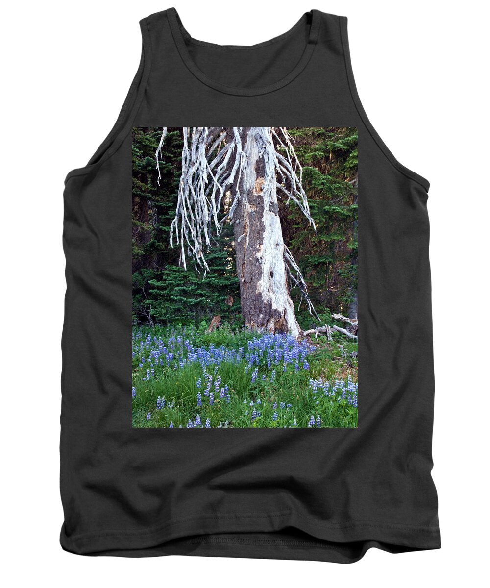 Tree Tank Top featuring the photograph The Ghost Tree by Marla Craven
