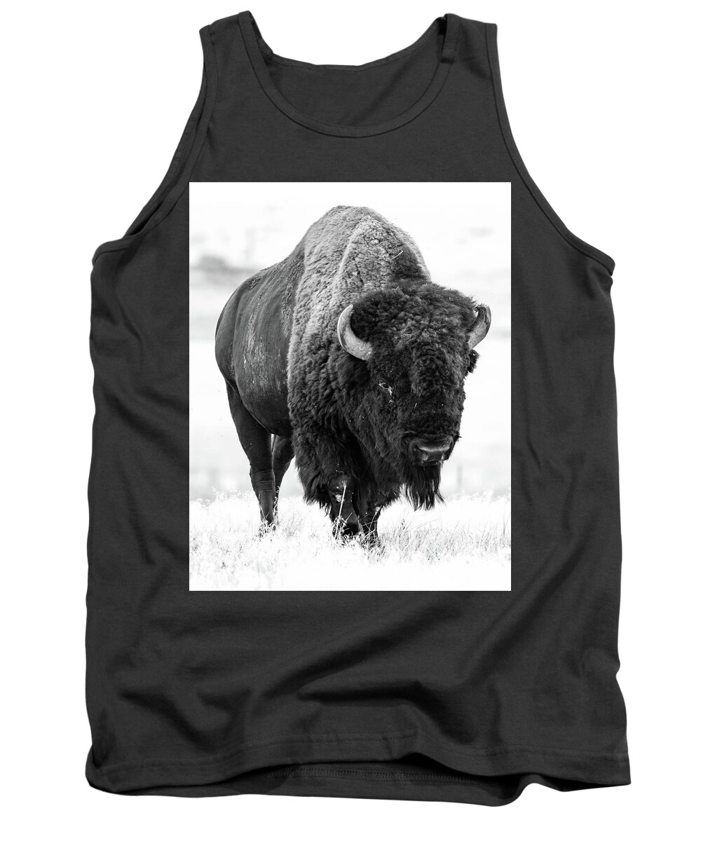 Grassland Tank Top featuring the photograph The Great Plains by Jody Partin
