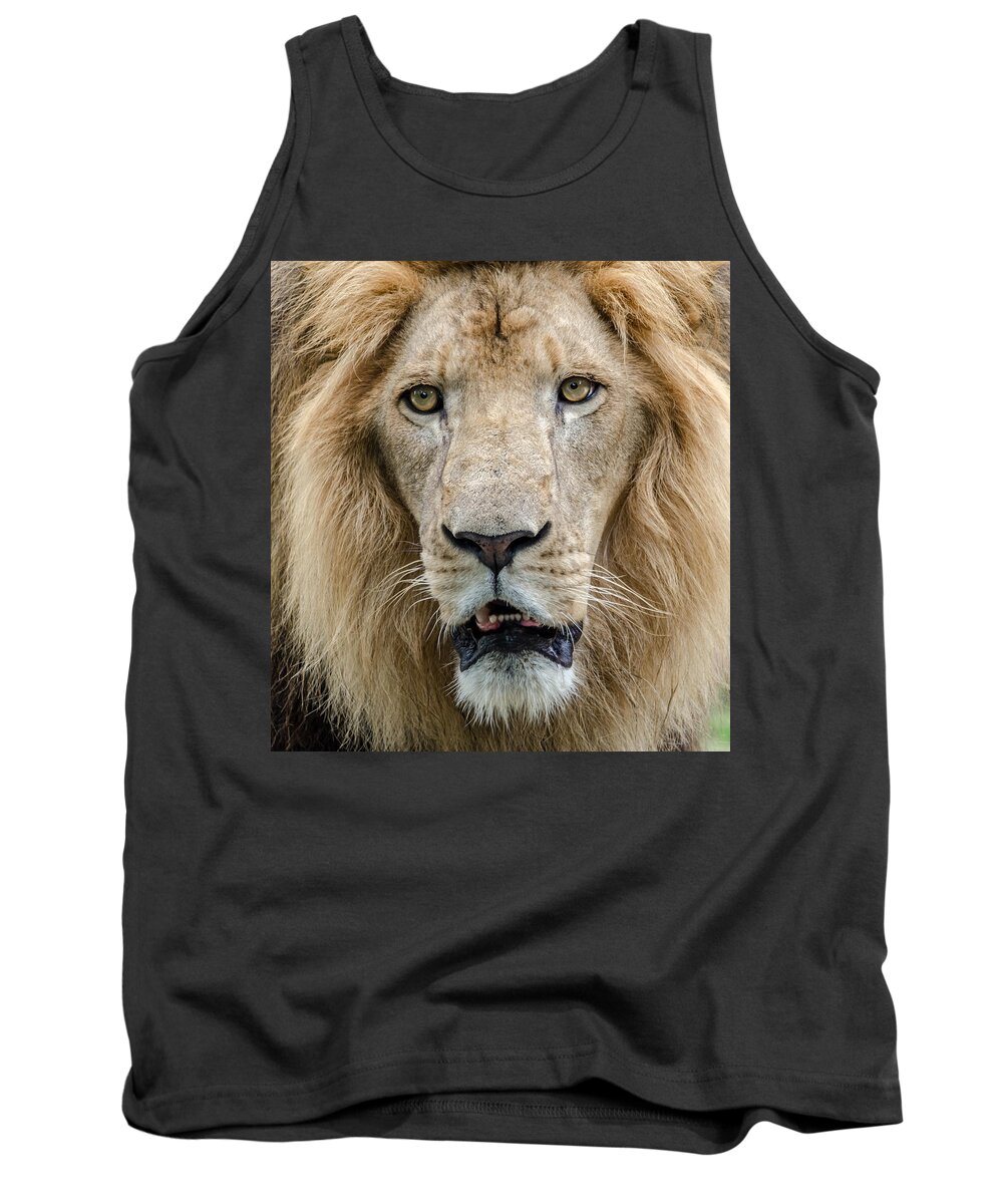 Animal Tank Top featuring the photograph The King by Jaime Mercado