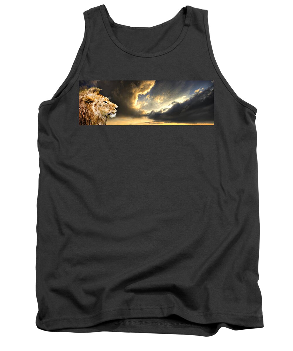 Lion Tank Top featuring the photograph The King Of His Domain by Meirion Matthias