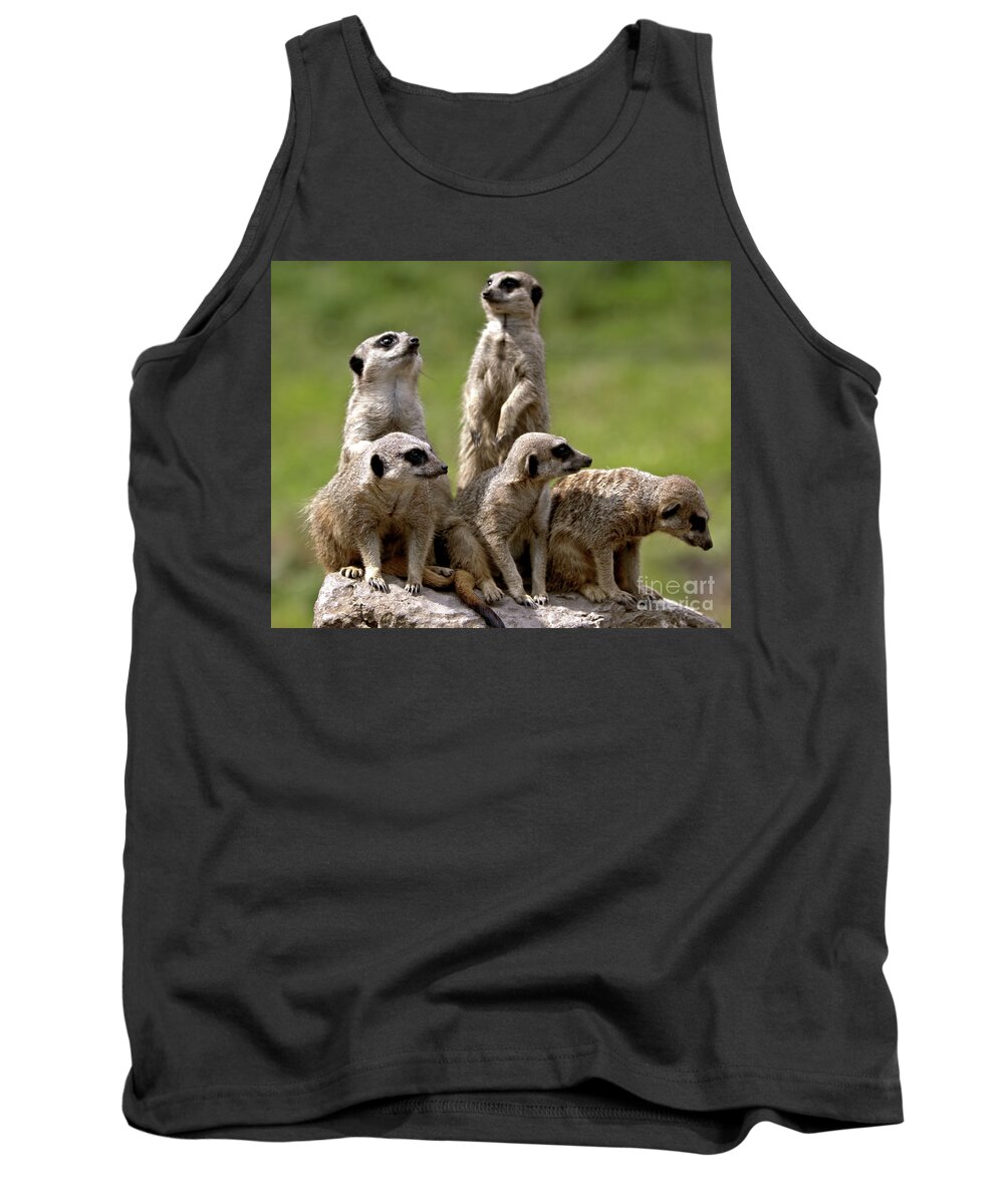 Animal Tank Top featuring the photograph The Management by Baggieoldboy