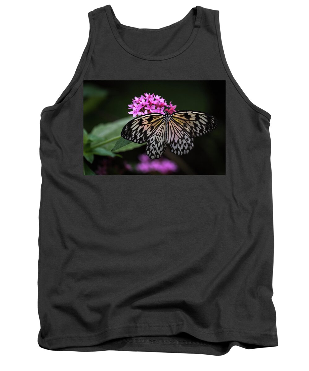 Photograph Tank Top featuring the photograph The Master Calls A Butterfly by Cindy Lark Hartman