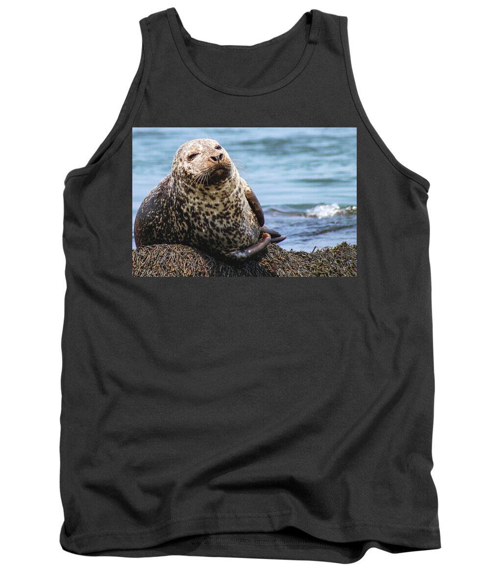Seal Tank Top featuring the photograph The Most Interesting Seal by Holly Ross
