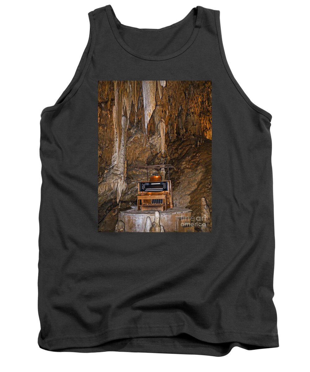 Luray Tank Top featuring the photograph The Music of the Ages by Brenda Kean