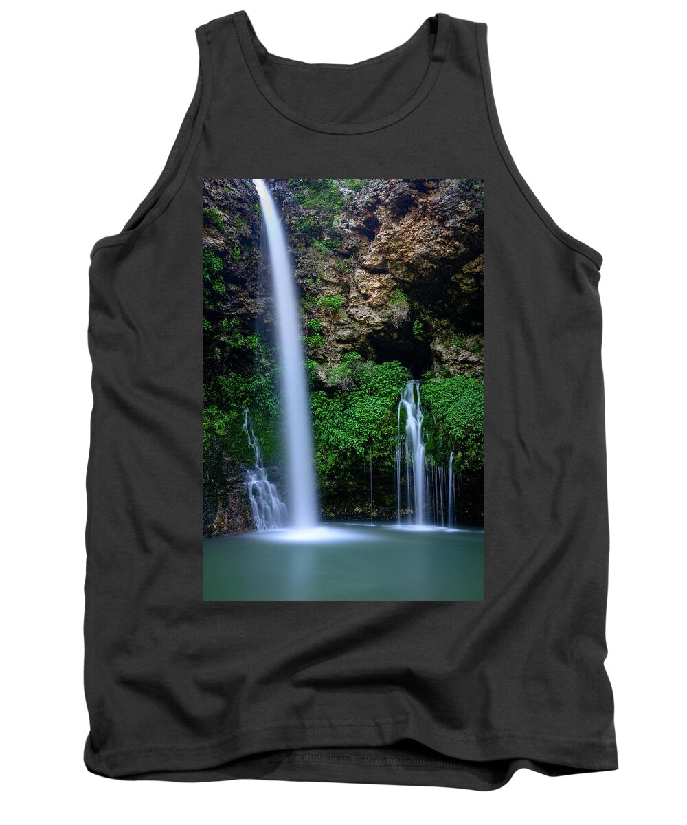 Colcord Tank Top featuring the photograph The Natural World by Michael Scott
