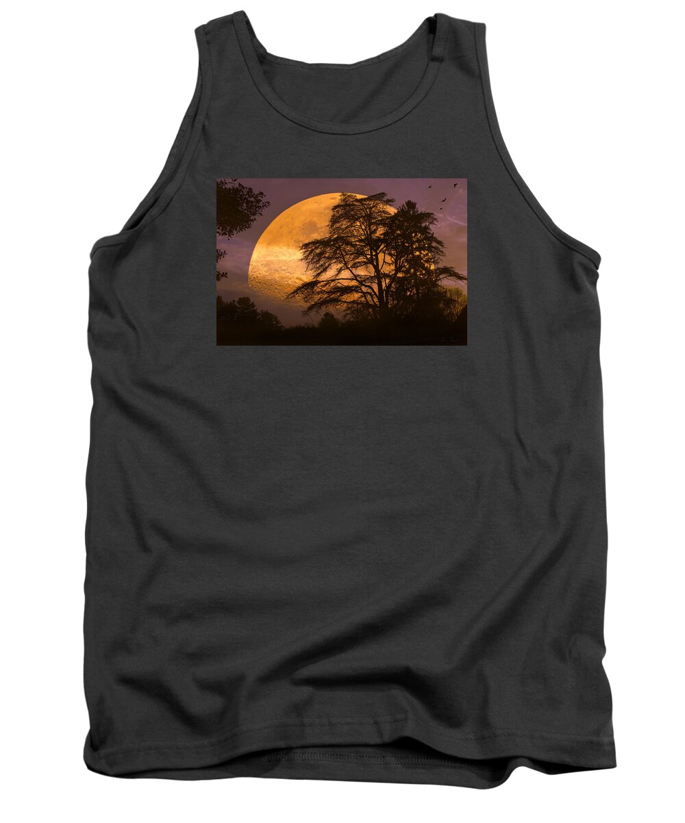 Night Tank Top featuring the photograph The Night is Calling by John Rivera