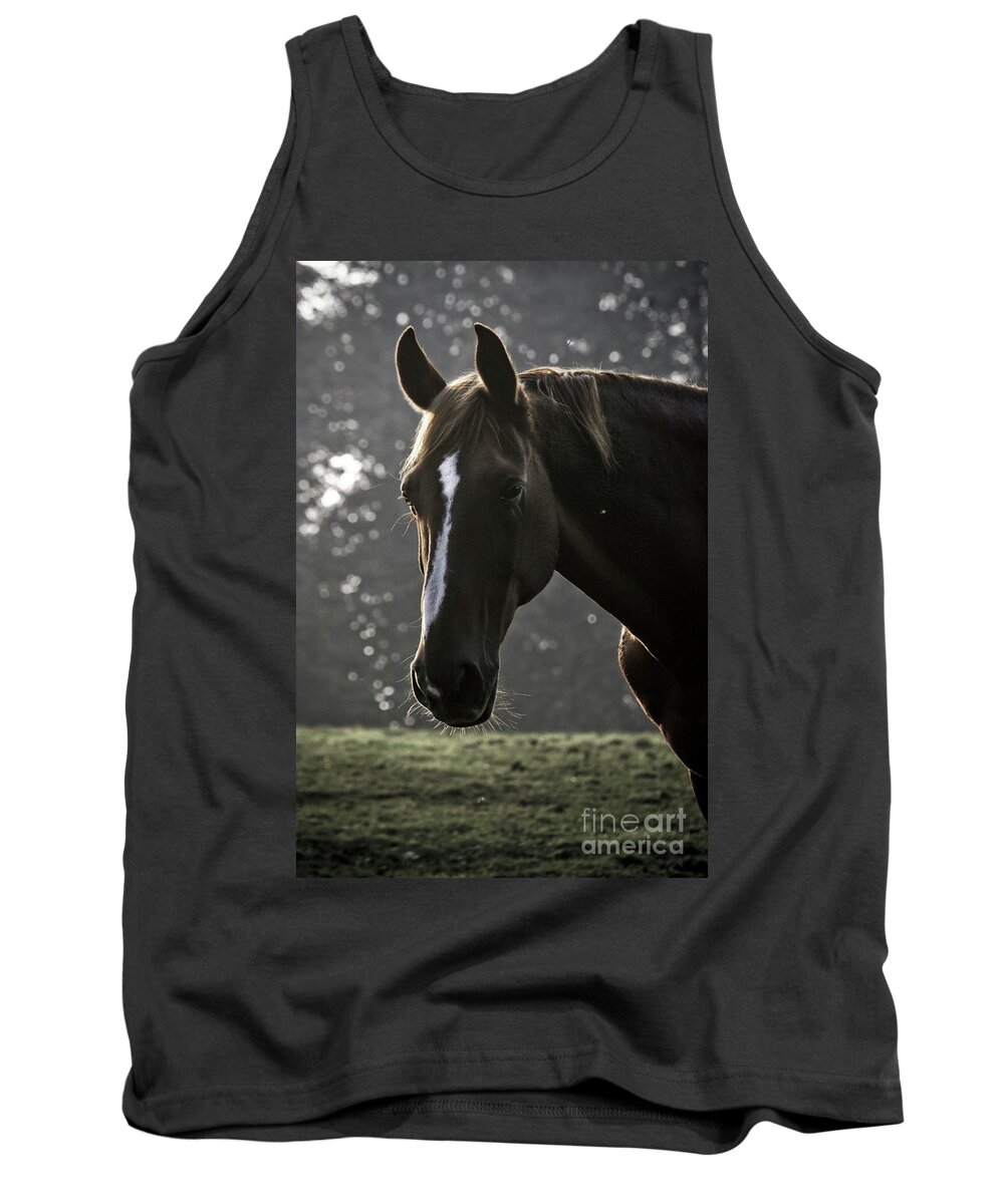 Horse Tank Top featuring the photograph The Portrait Of The Horse by Ang El
