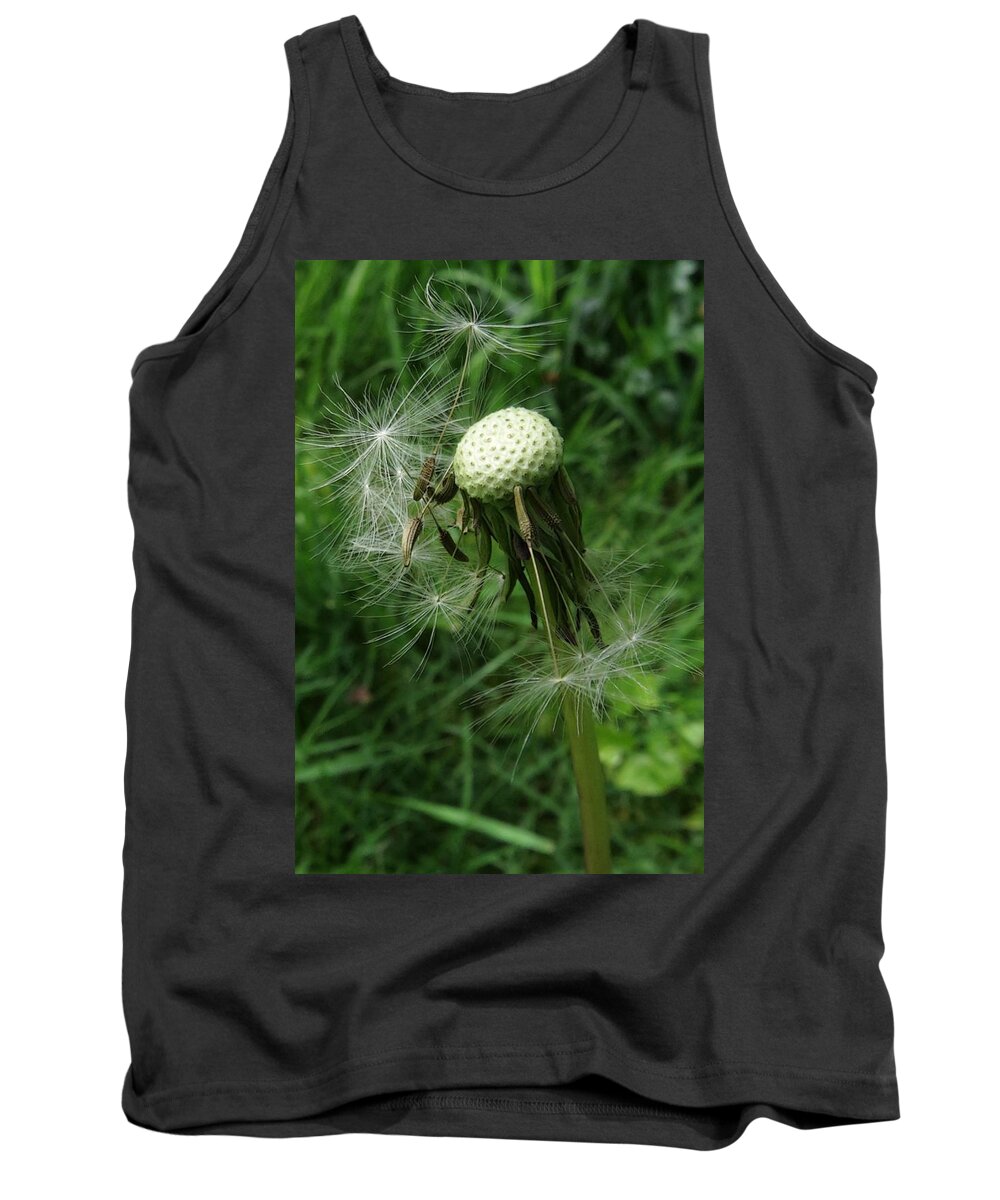 Renewal Tank Top featuring the photograph The Promise Of Renewal 1 by I'ina Van Lawick