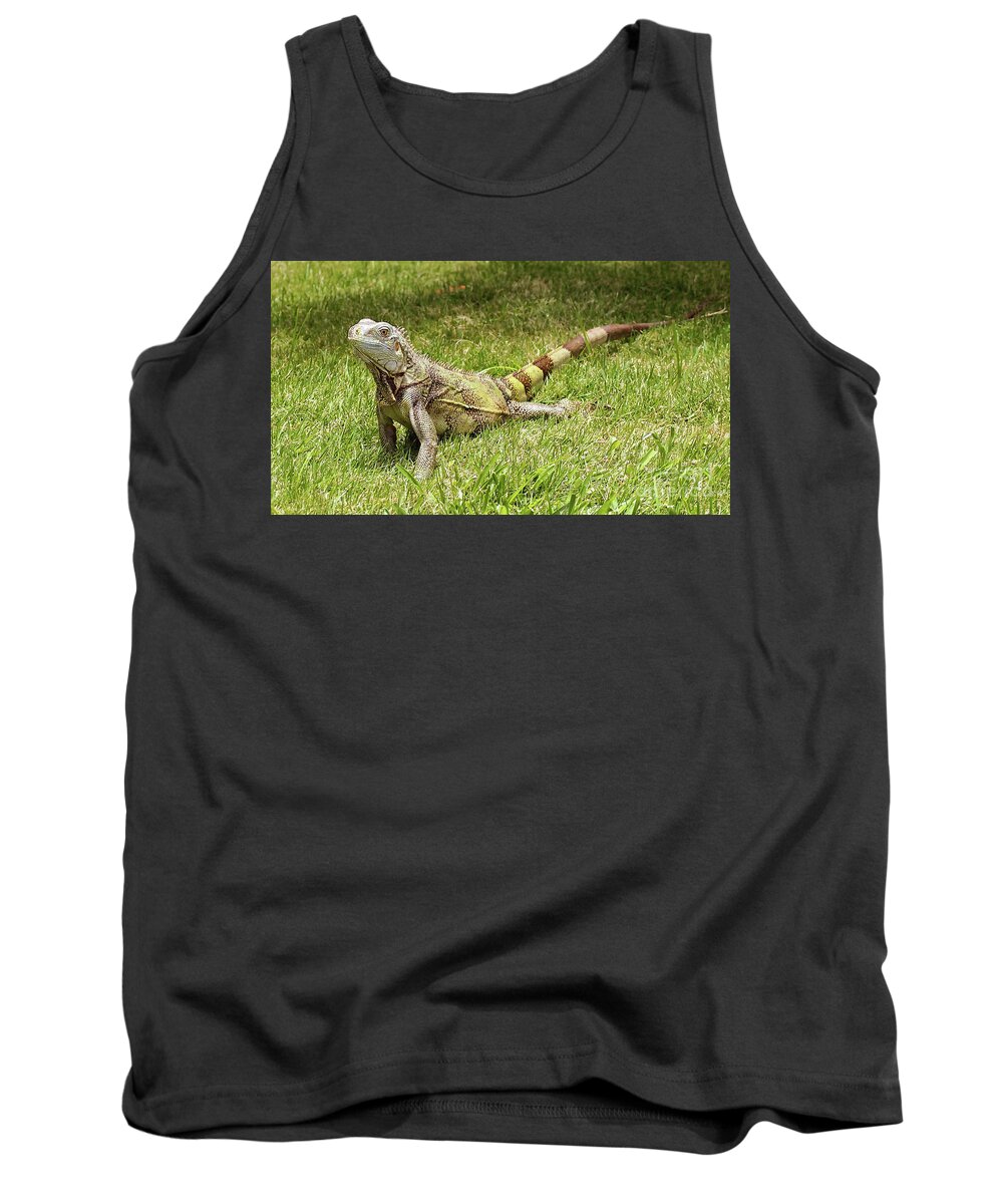 Lizard Tank Top featuring the photograph The Iguana by Raymond Earley