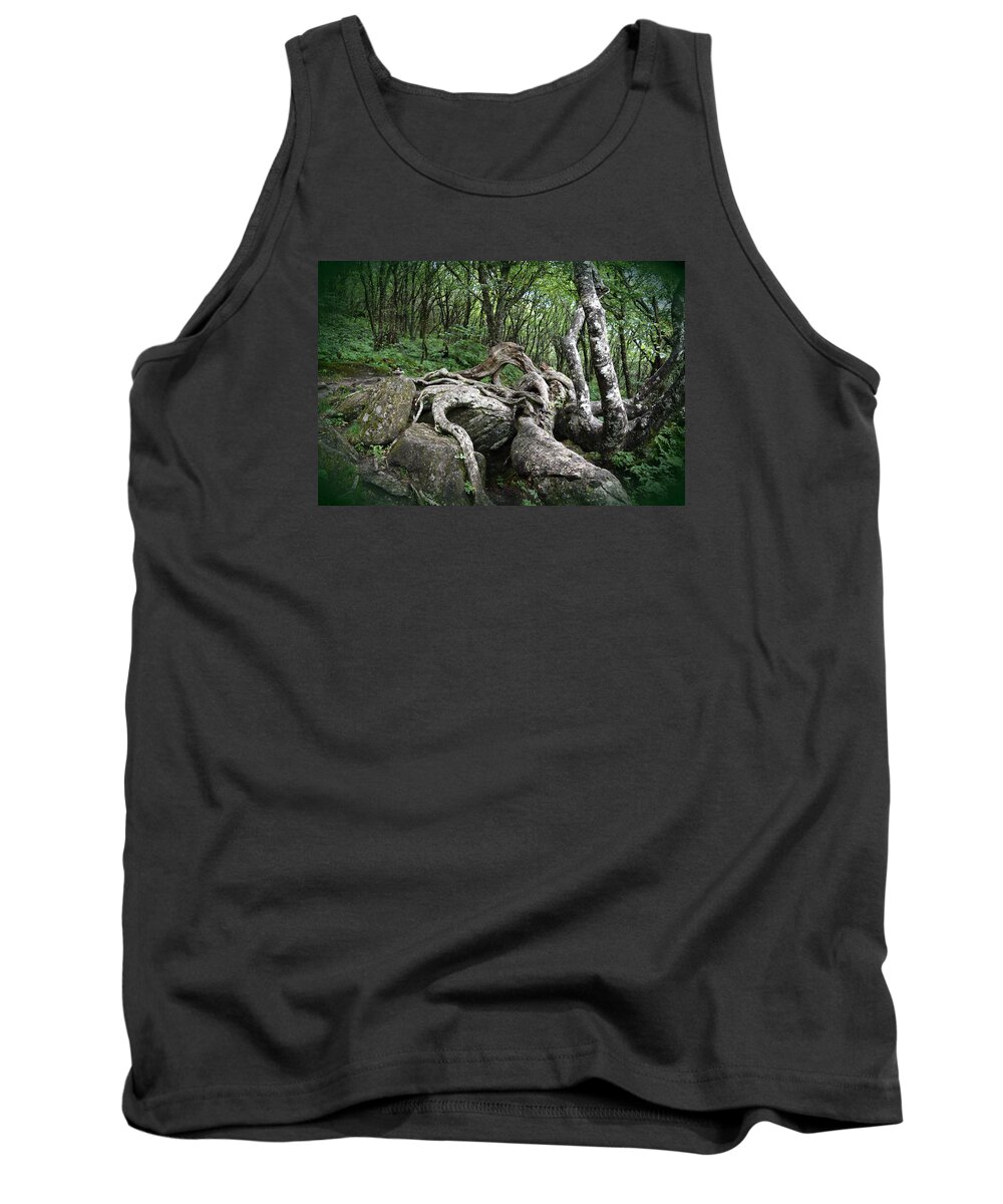 Root Tank Top featuring the photograph The Root by Gary Smith