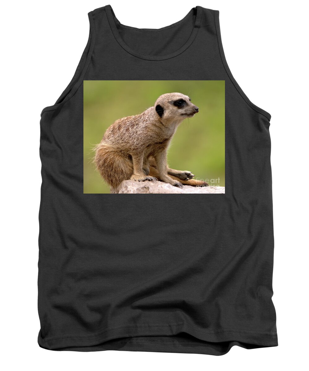 Small Tank Top featuring the photograph The Sentinel by Baggieoldboy