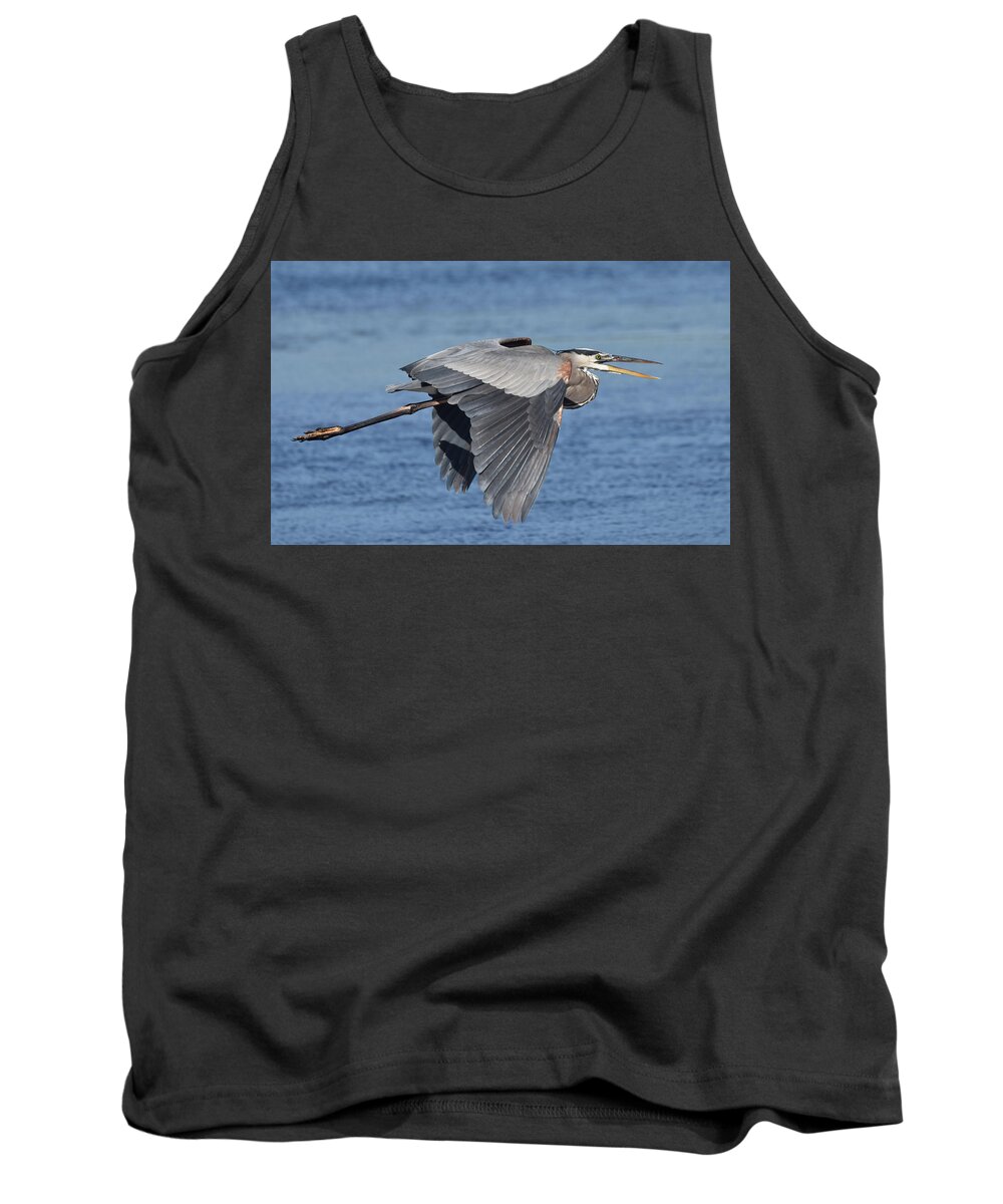 Heron Tank Top featuring the photograph The Squawker by Jim Bennight