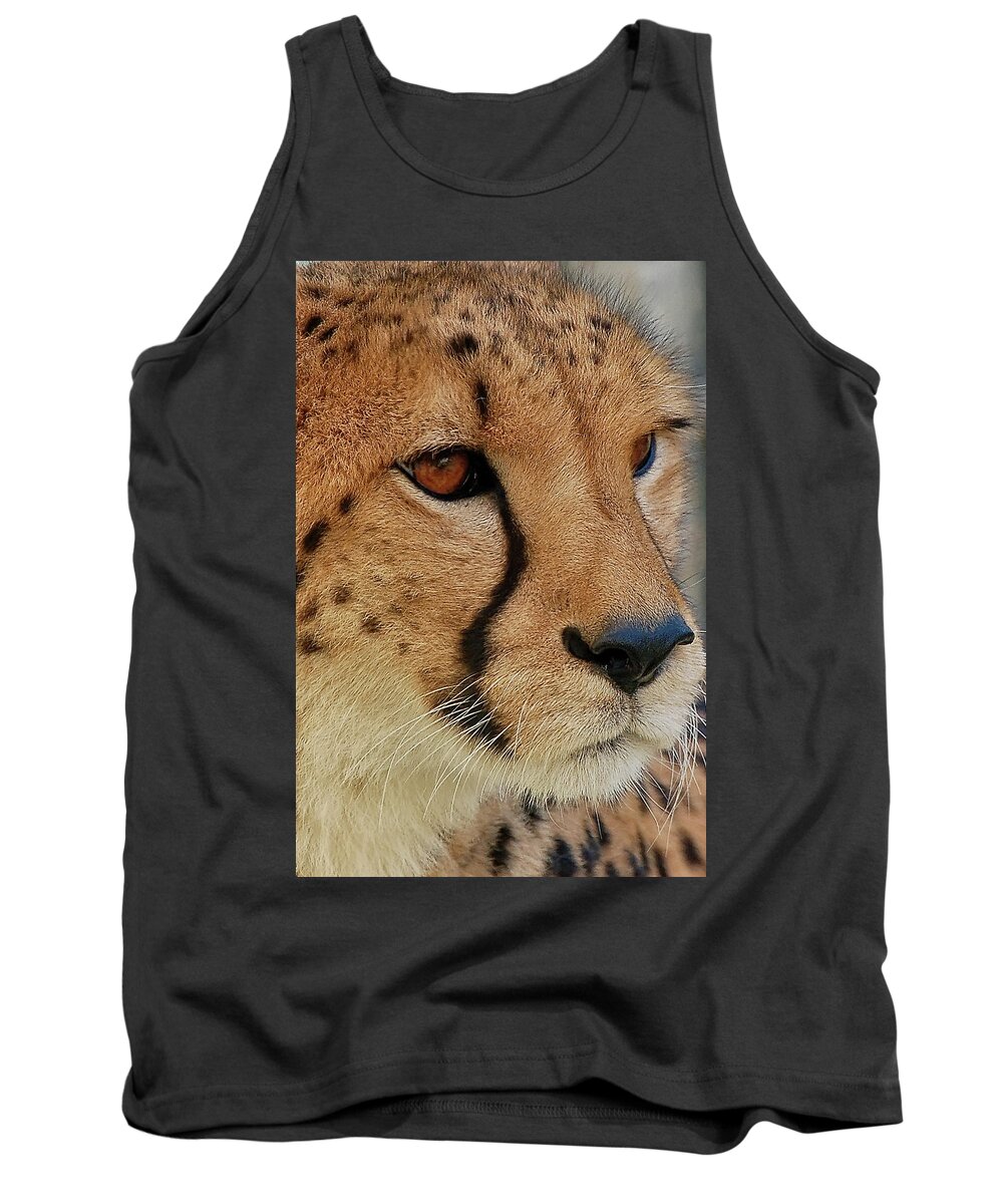 Cheetah Tank Top featuring the photograph The Stare by Kuni Photography