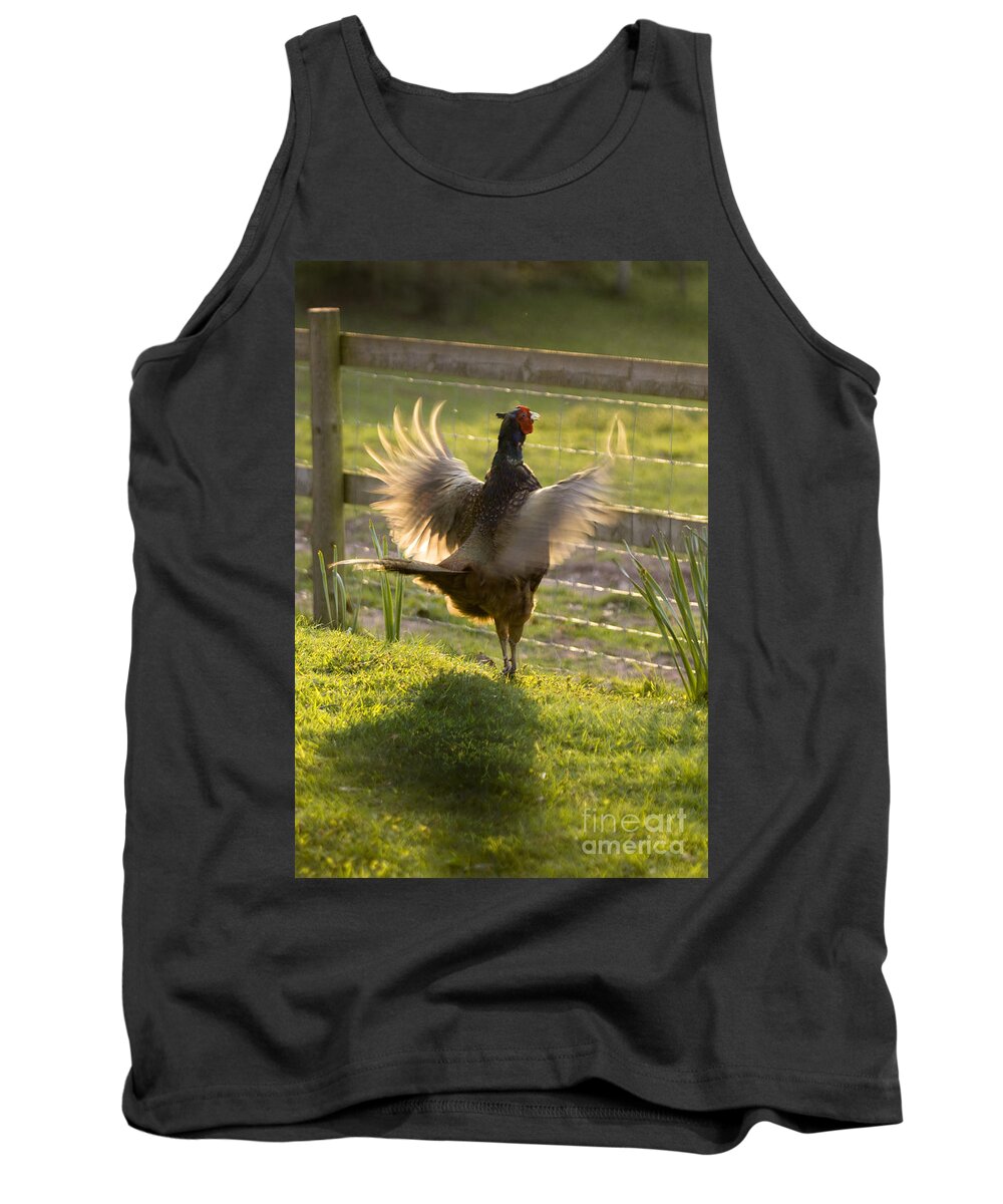 Pheasant Tank Top featuring the photograph The Sun In My Wings by Ang El