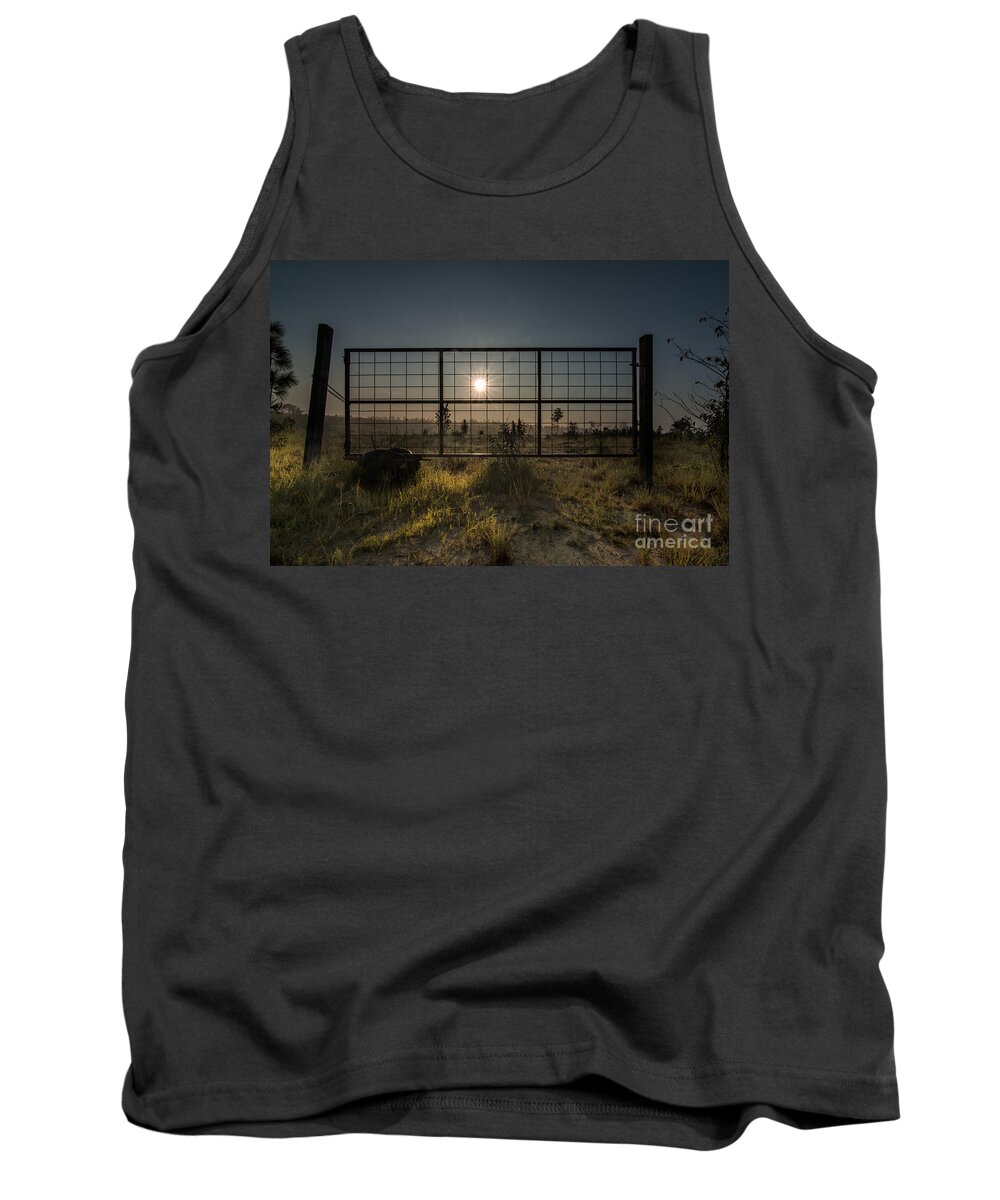 Sun Tank Top featuring the photograph The Sun is Free by Metaphor Photo