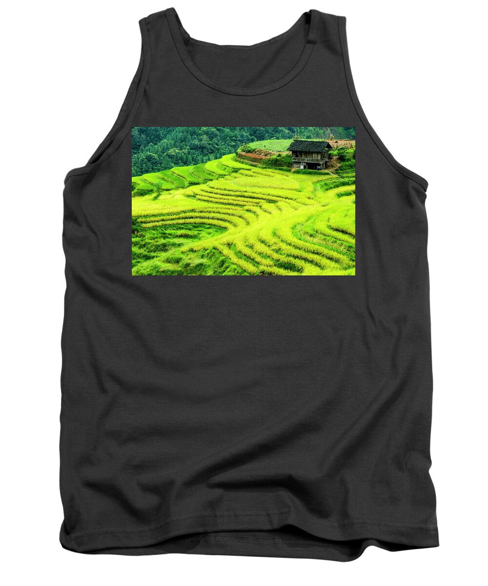 Rice Tank Top featuring the photograph The terraced fields scenery in autumn by Carl Ning