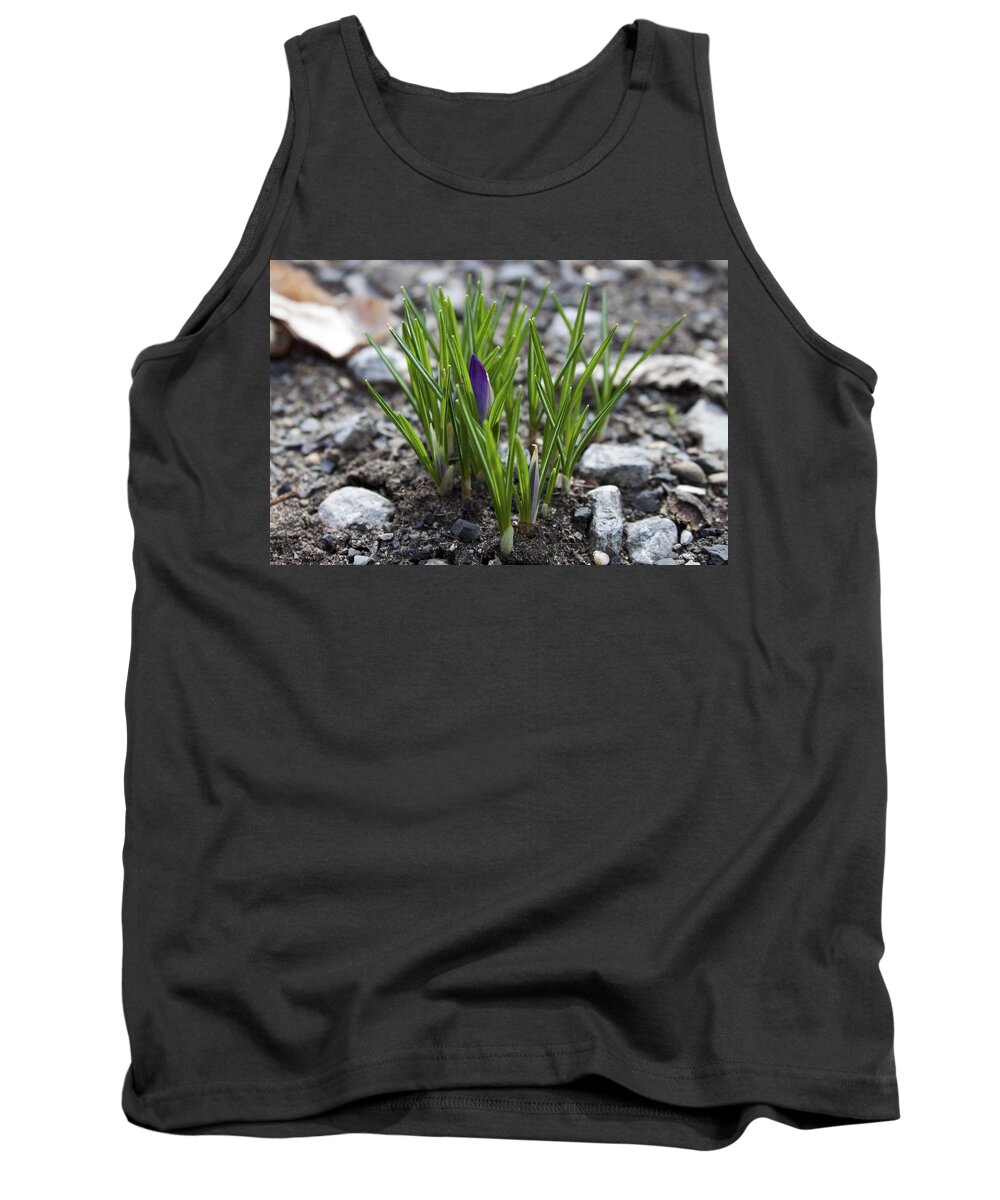 Flower Tank Top featuring the photograph The Wait by Jeff Severson