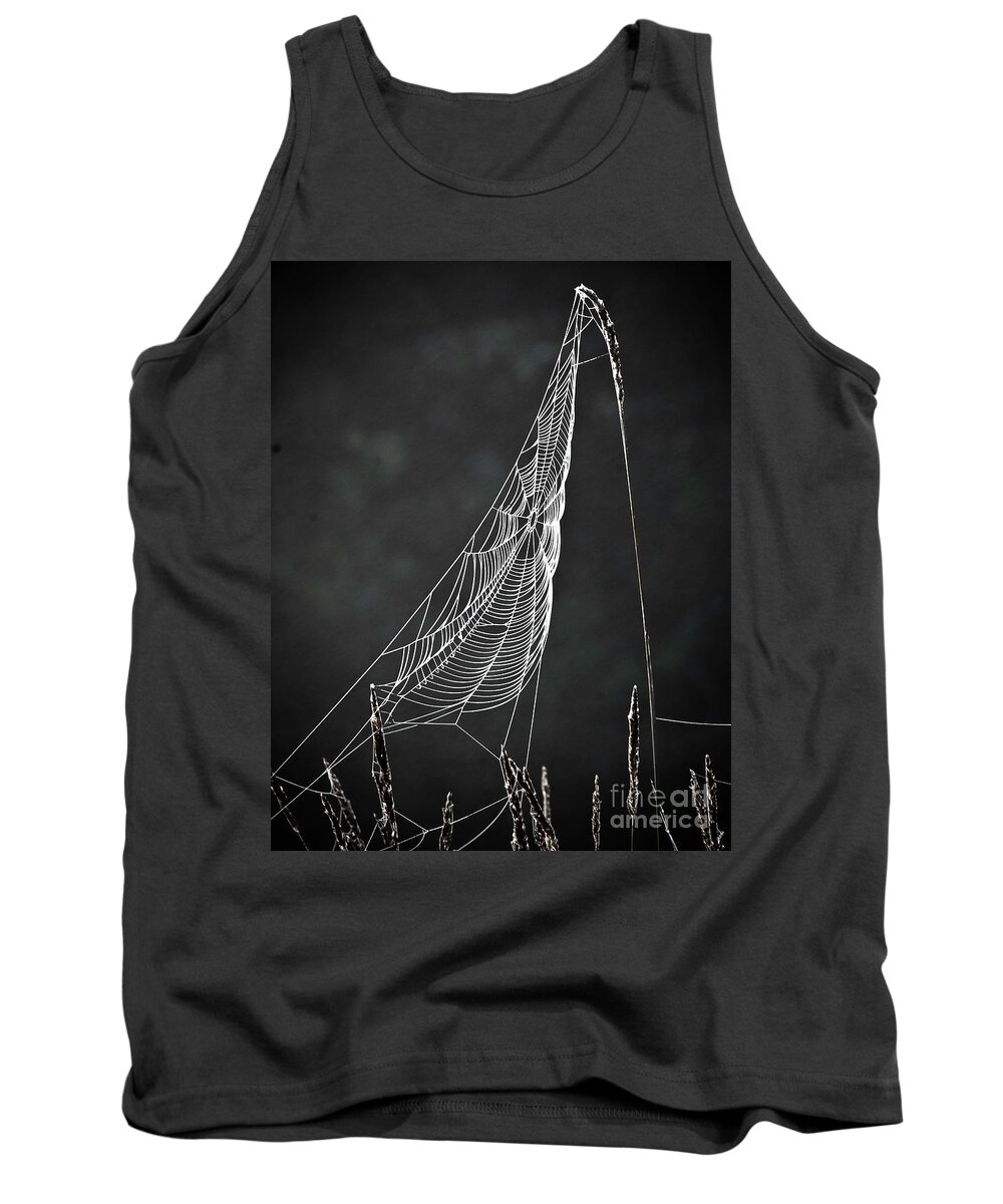 Web Tank Top featuring the photograph The Web by Tom Cameron