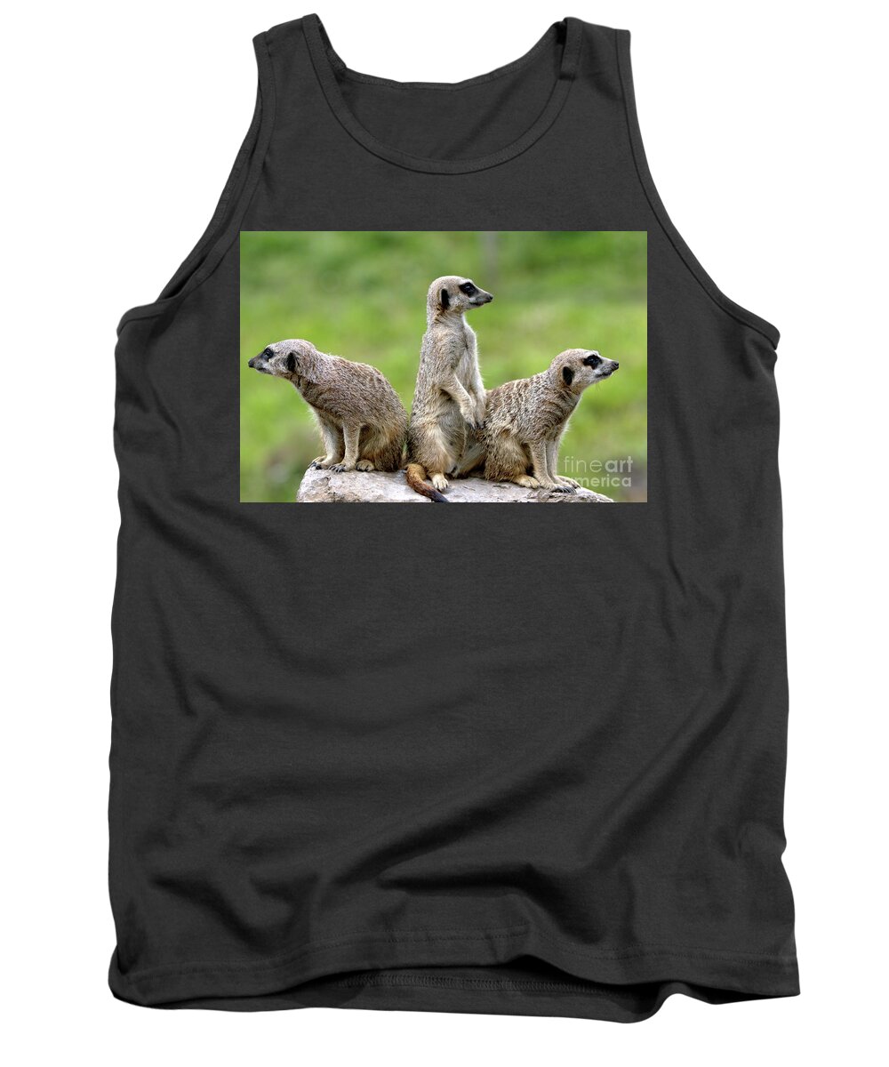 Small Tank Top featuring the photograph The Wild Bunch by Baggieoldboy