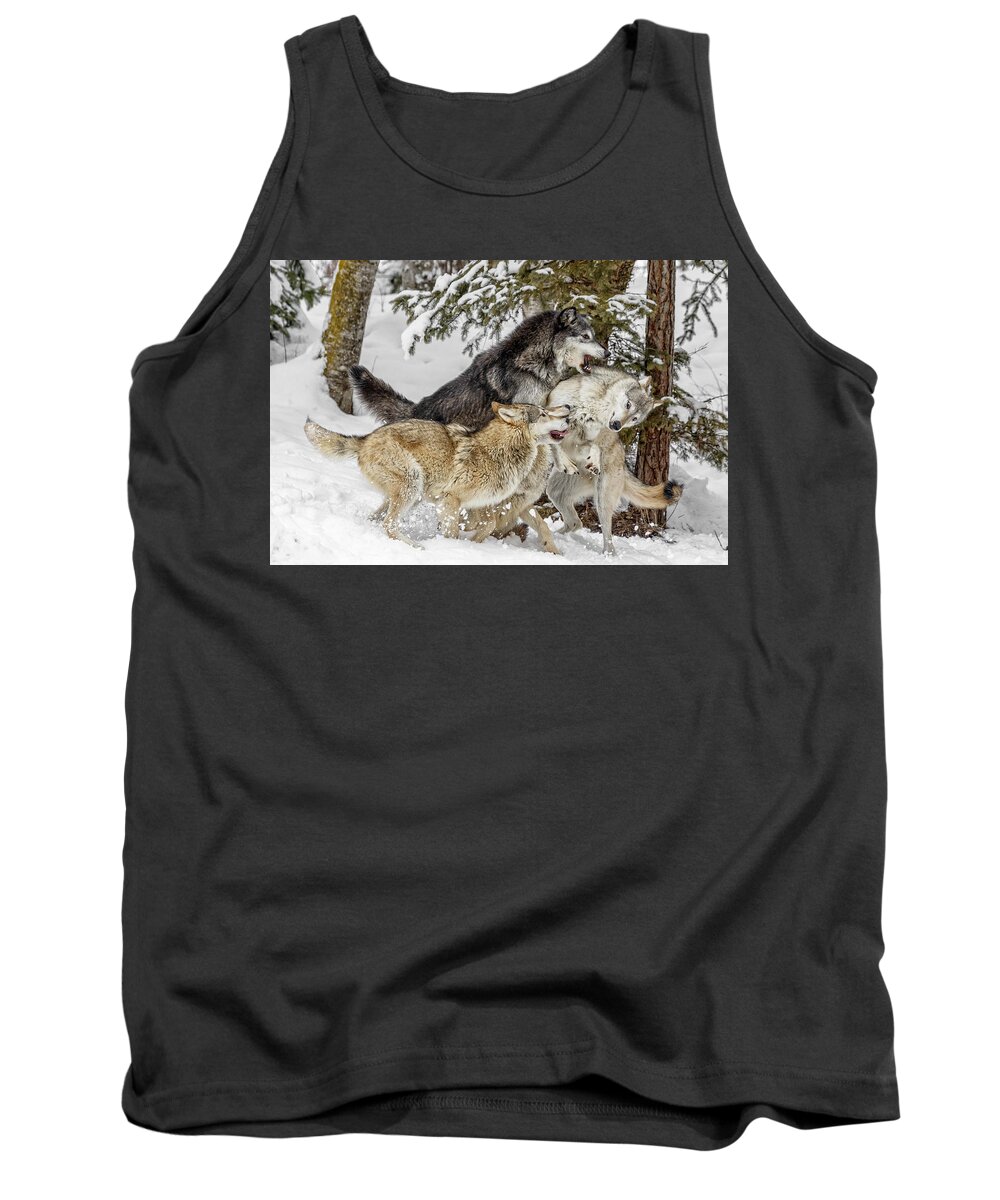 The Wolf Pack Tank Top featuring the photograph The Wolf Pack by Wes and Dotty Weber
