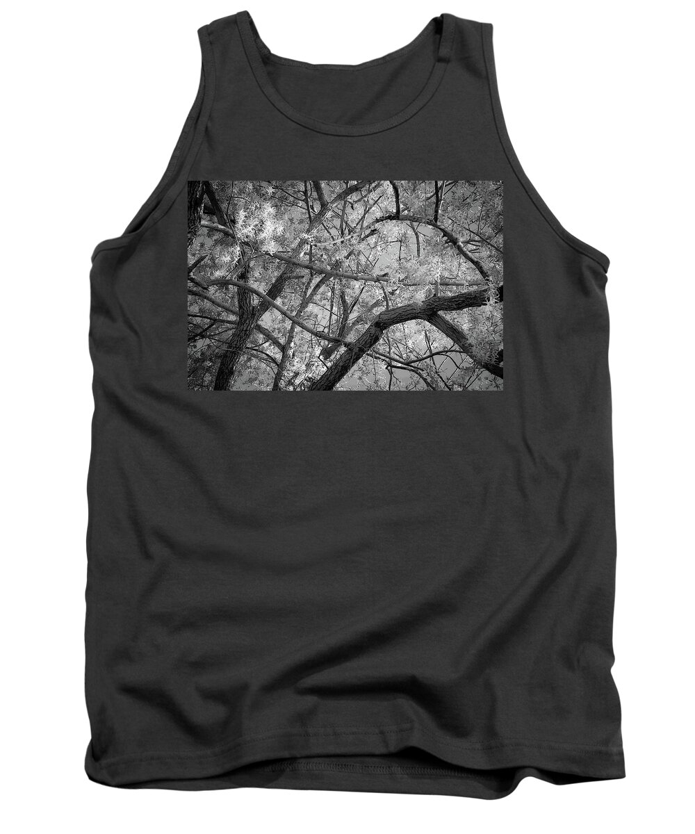 Branches Tank Top featuring the photograph Those Branches - by Julie Weber