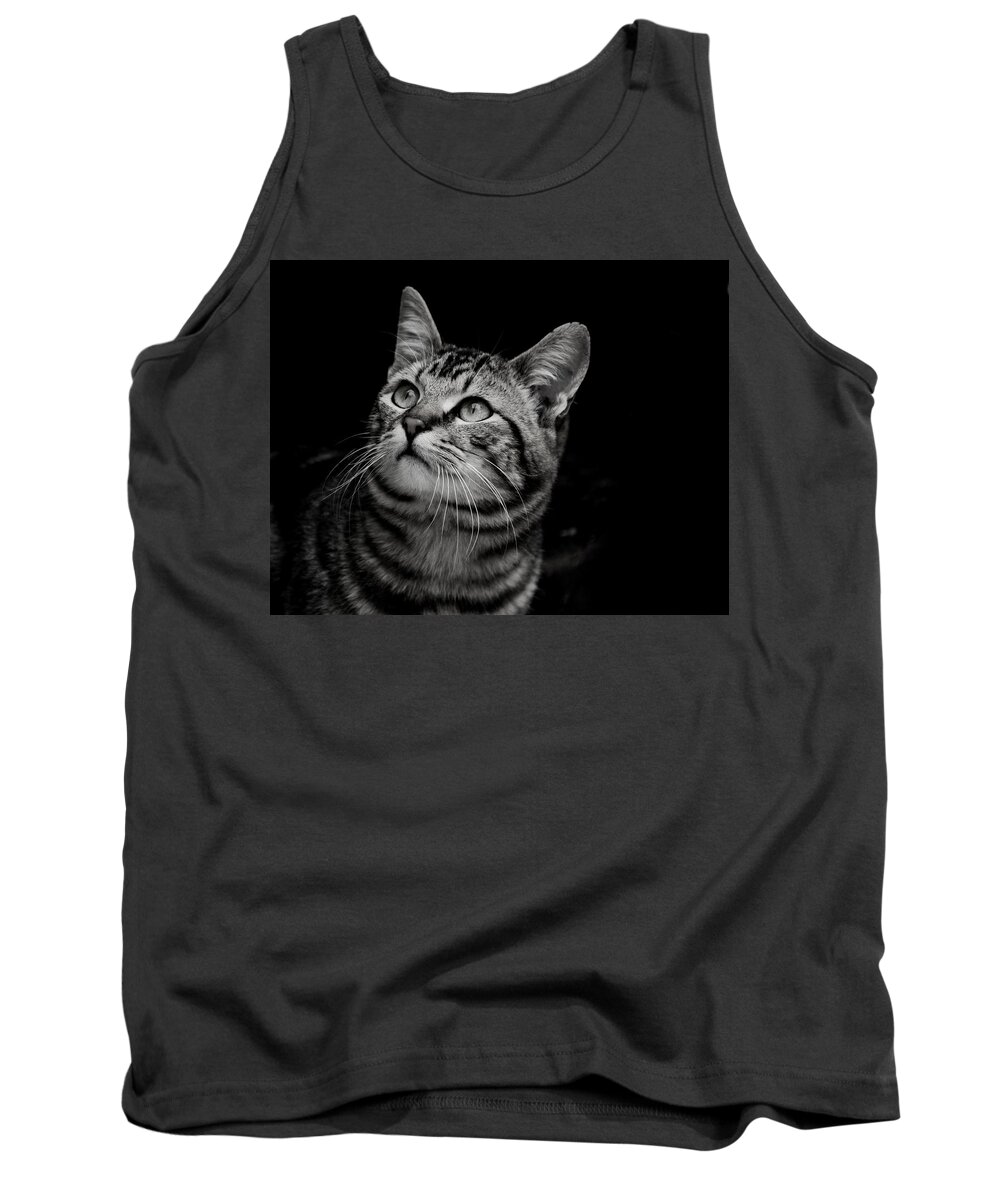 Cats Tank Top featuring the photograph Thoughtful Tabby by Chriss Pagani