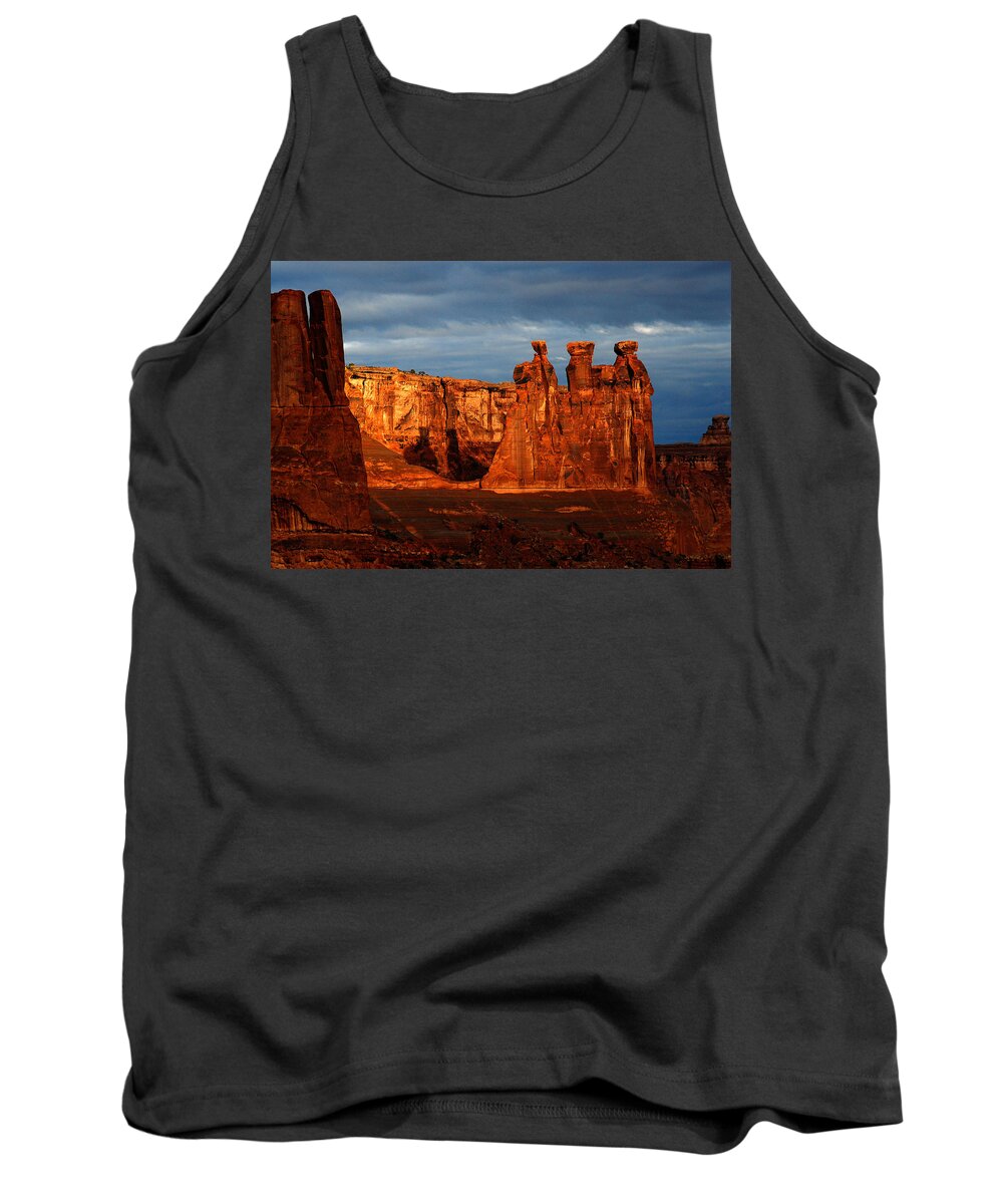 Three Gossips Tank Top featuring the photograph Three Gossips by Harry Spitz