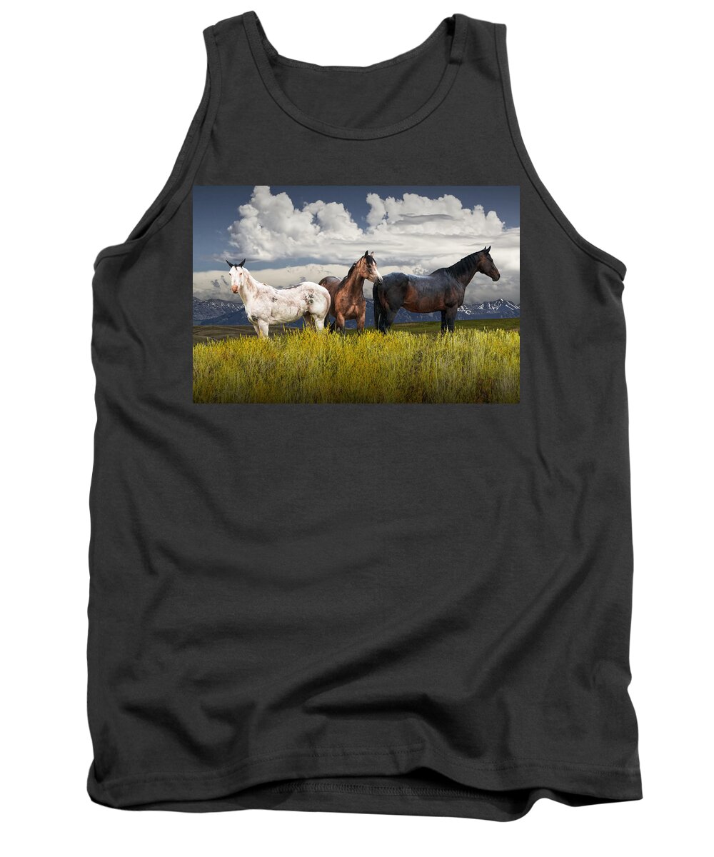 Horse Tank Top featuring the photograph Three Western Horses by Randall Nyhof