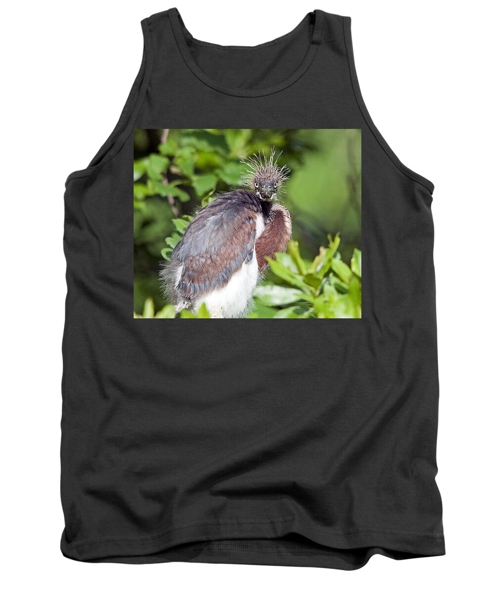 Birds Tank Top featuring the photograph Ticked Off by Kenneth Albin