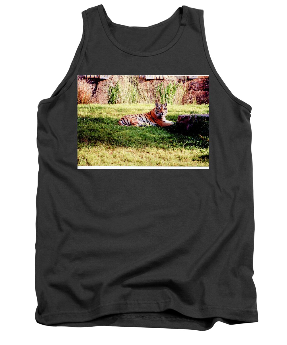 Wildlife Tank Top featuring the photograph Tiger At Rest by Rick Redman