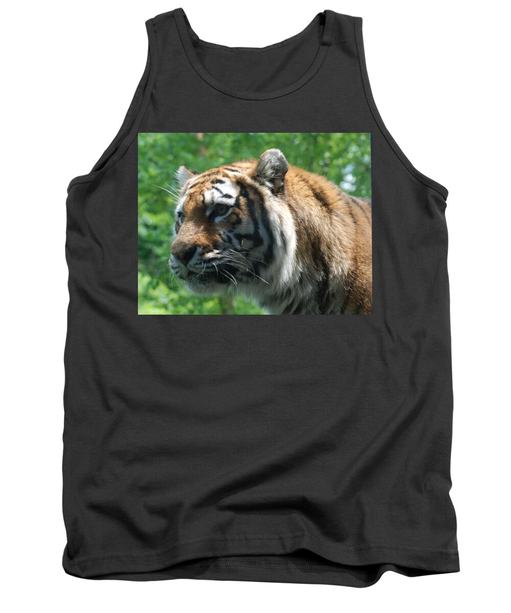 Tiger Tank Top featuring the photograph Tiger Profile by Richard Bryce and Family