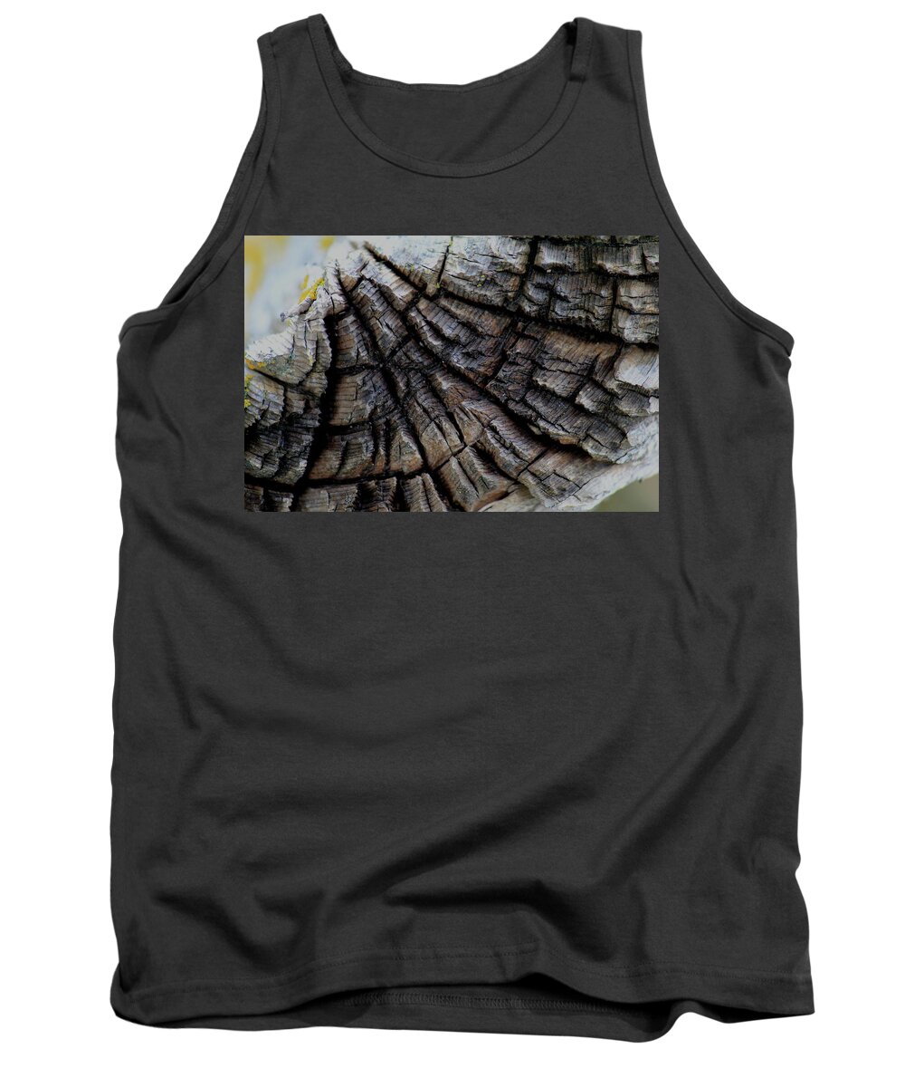Time Tank Top featuring the photograph Time by Trent Mallett