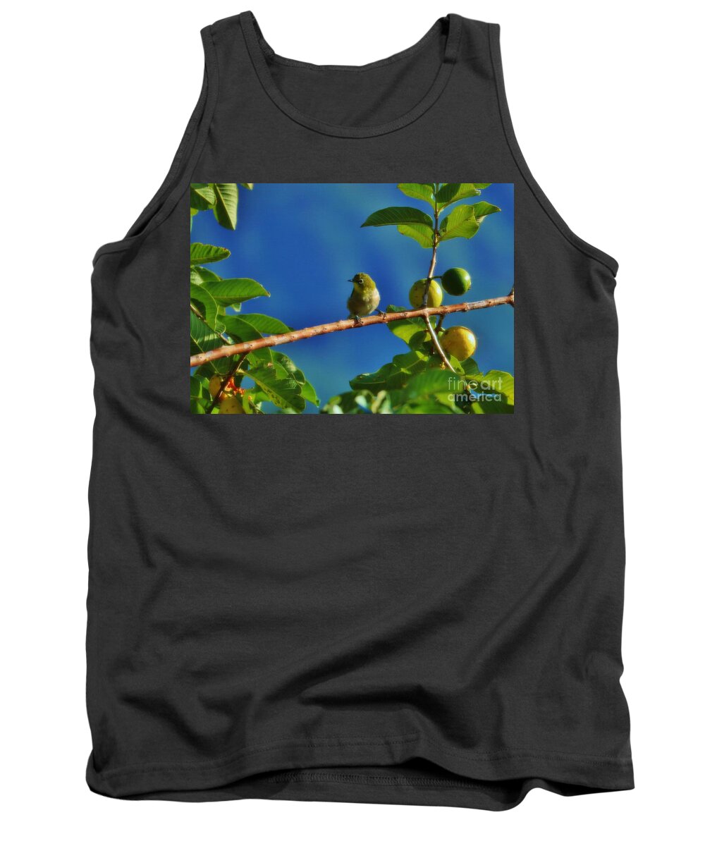 Meijiro Tank Top featuring the photograph Tiny White Eye and Guava by Craig Wood