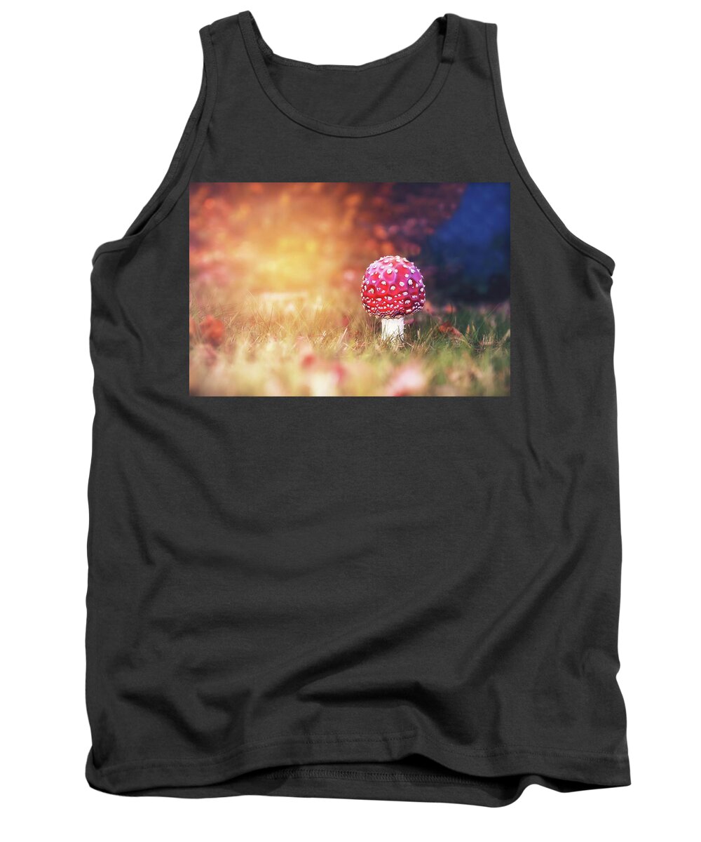 Toadstool Tank Top featuring the photograph Toadstool Story by Jaroslav Buna