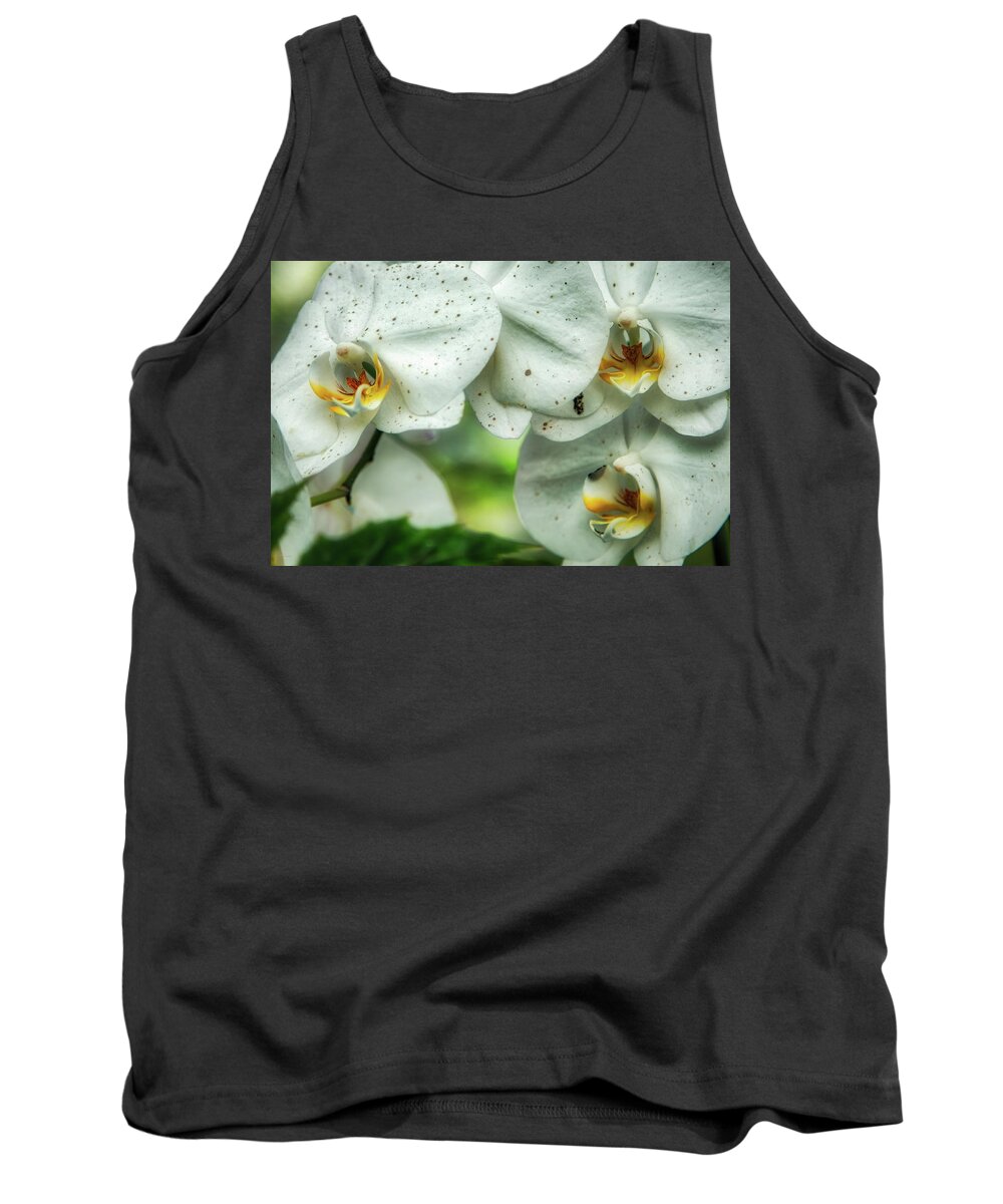 Hdr Tank Top featuring the photograph Toronto Orchids by Ross Henton