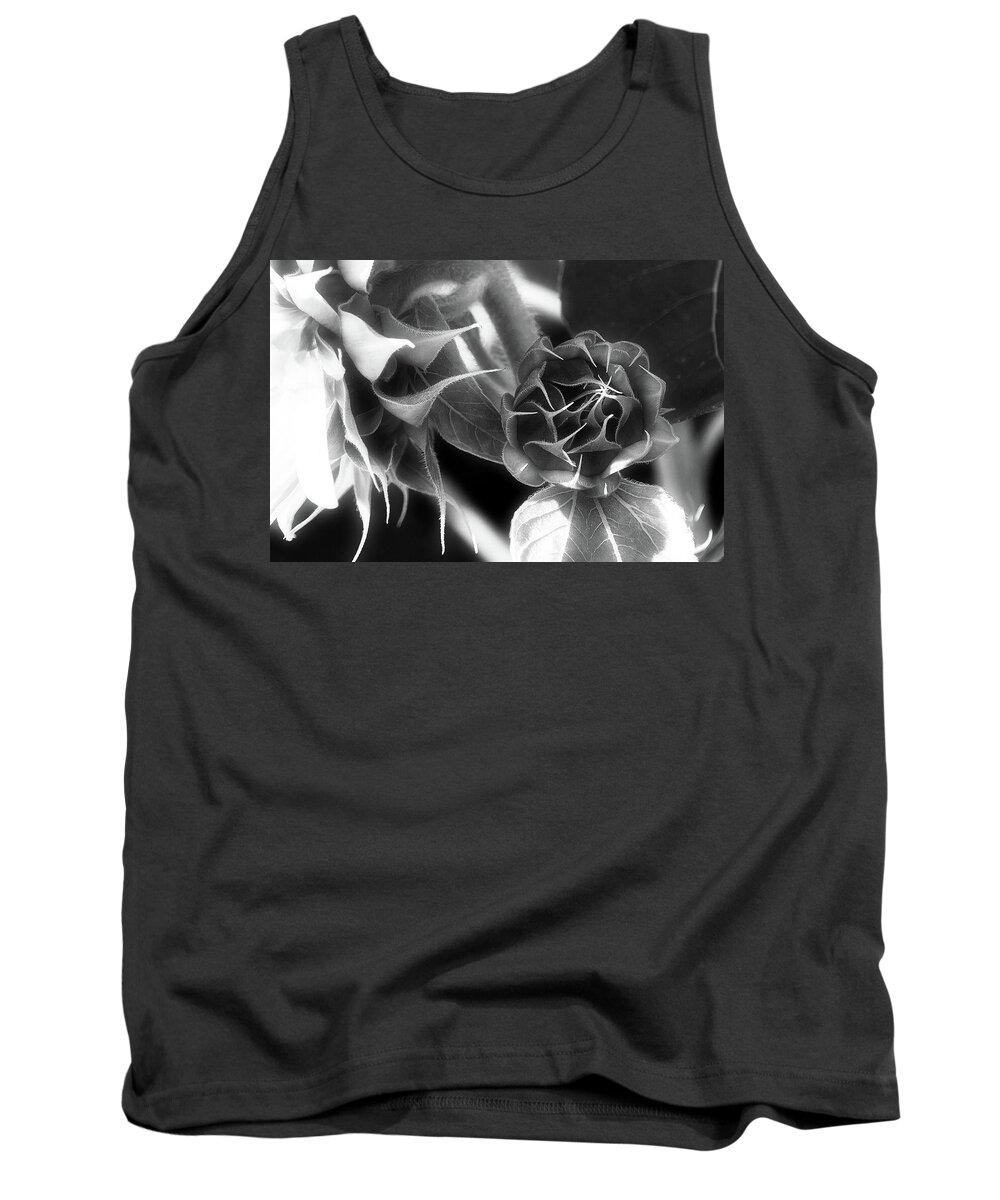 Beautiful Light Tank Top featuring the photograph Touched by Light - by Julie Weber