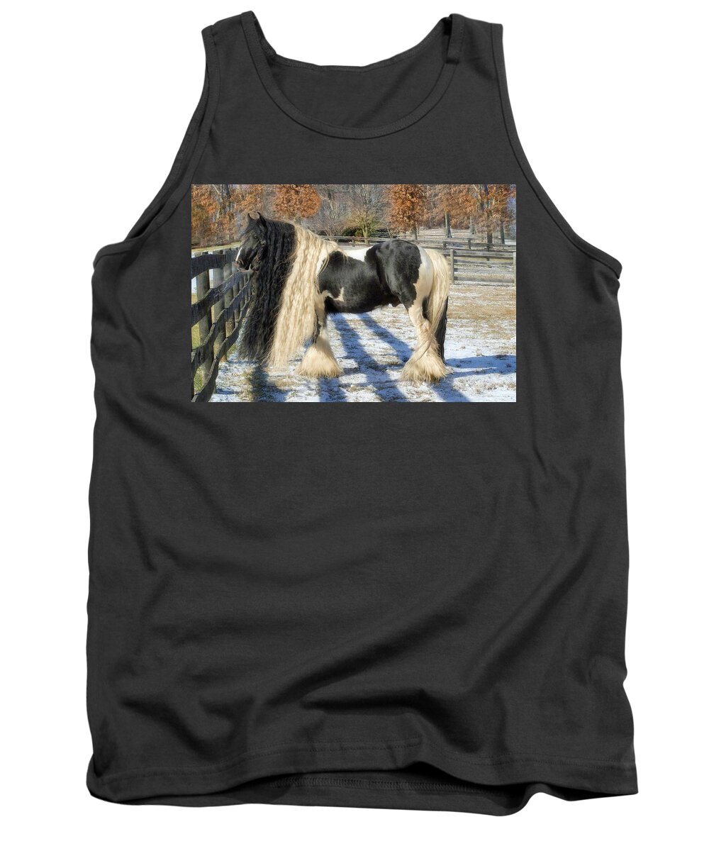 Horses Tank Top featuring the photograph Traditional Gypsy Horse by Fran J Scott