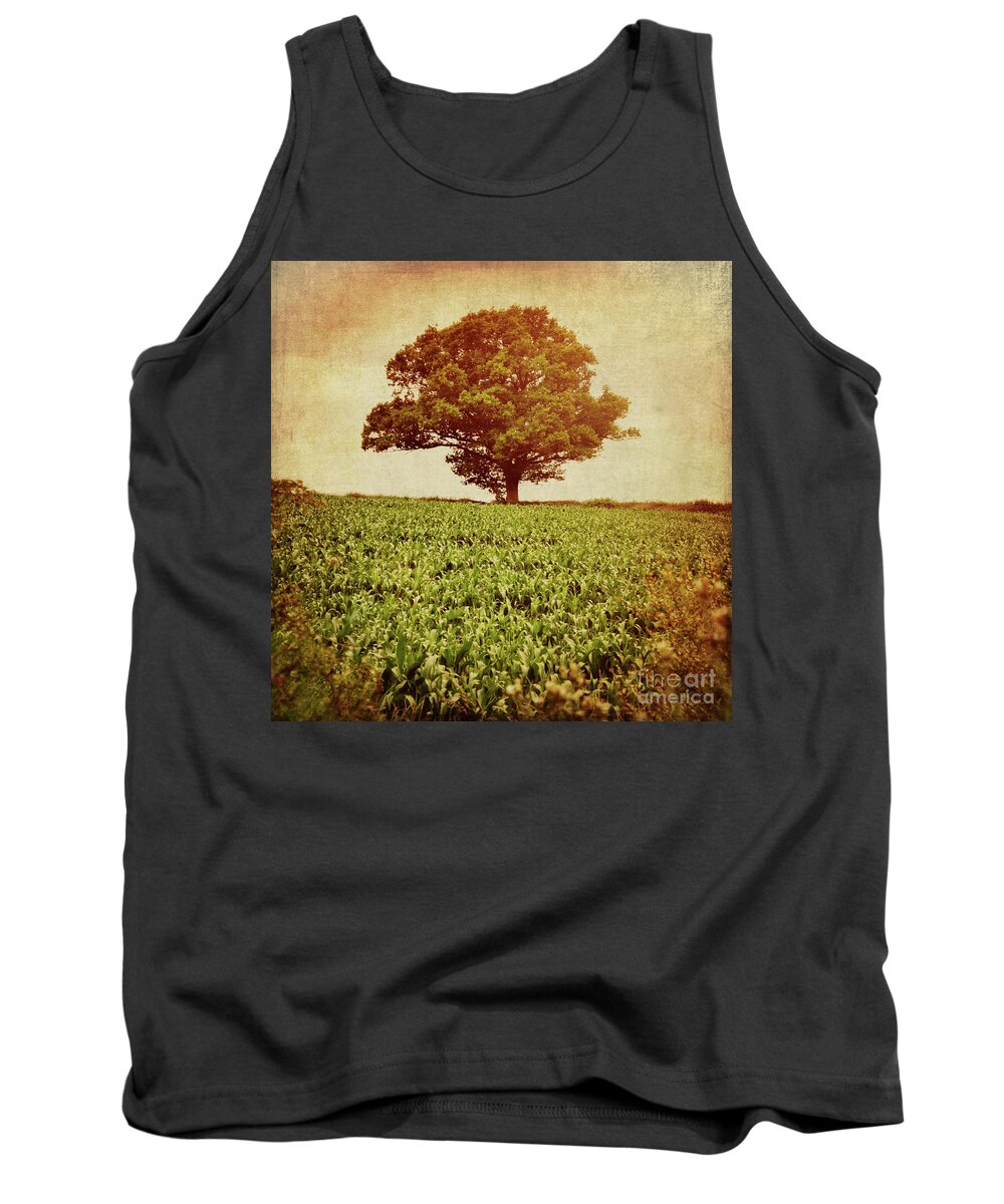 Tree Tank Top featuring the photograph Tree on edge of field by Lyn Randle