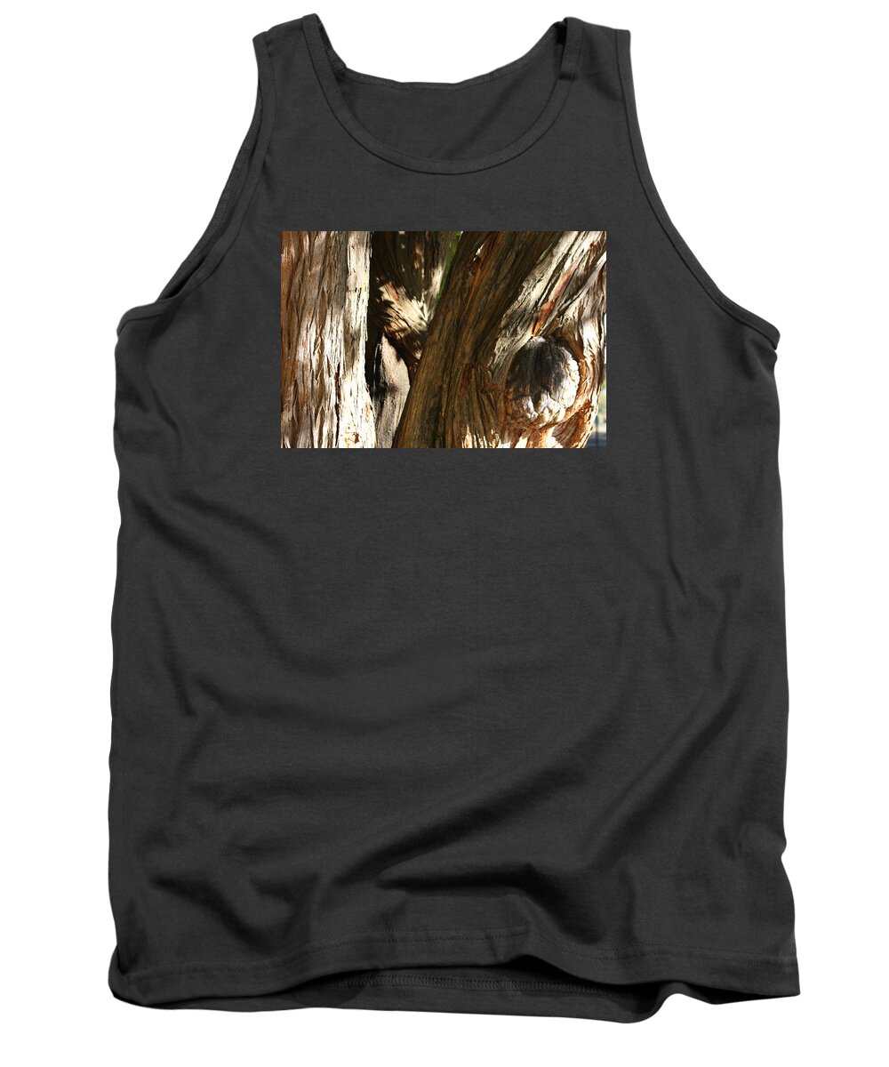 Trees Tank Top featuring the photograph Trees Trunks by Michele Wilson