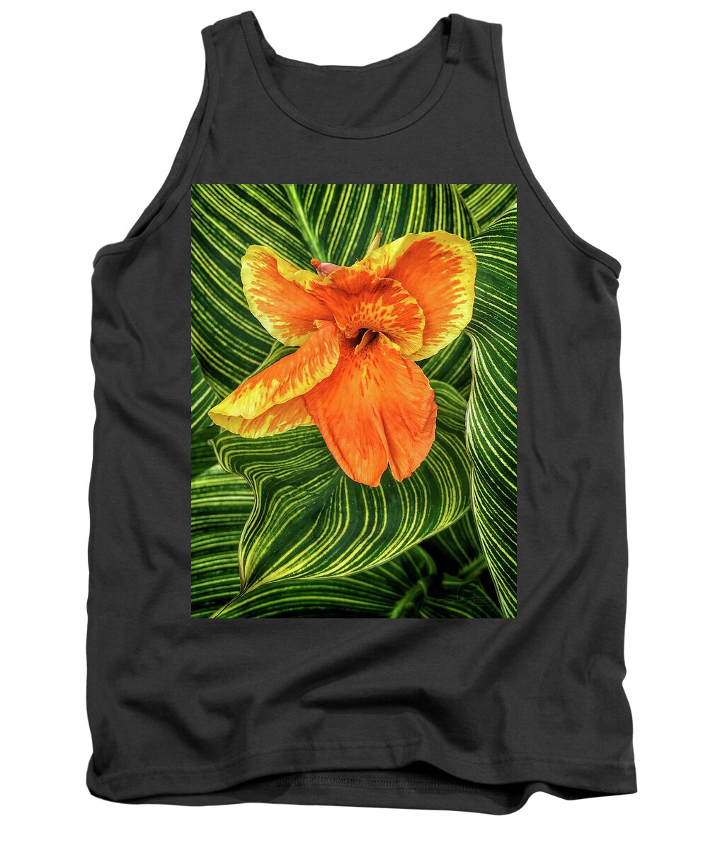 Canna Lily Tank Top featuring the photograph Tropicanna Beauty by Jill Love