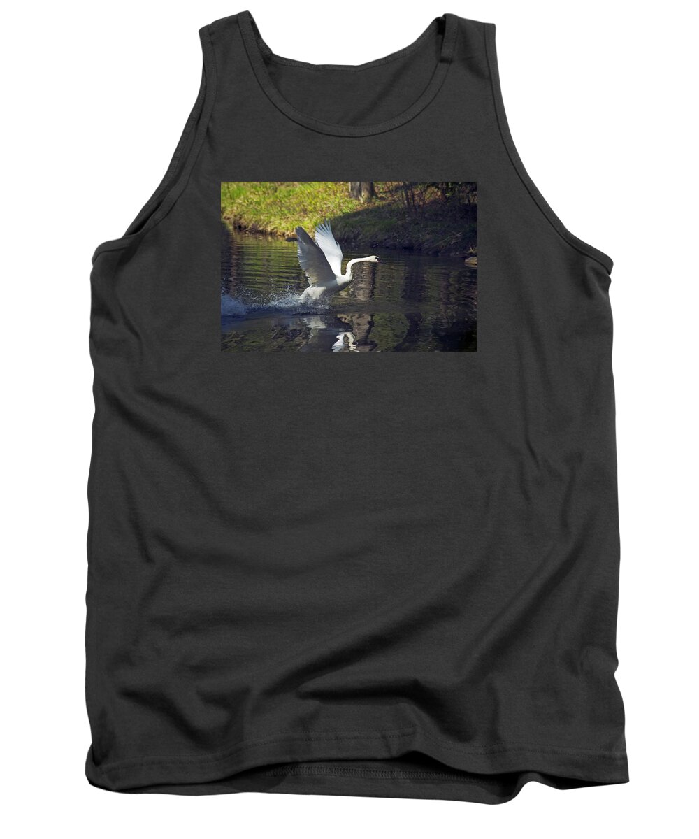 Trumpeter Tank Top featuring the photograph Trumpeter Swan Take Off by Elaine Mikkelstrup