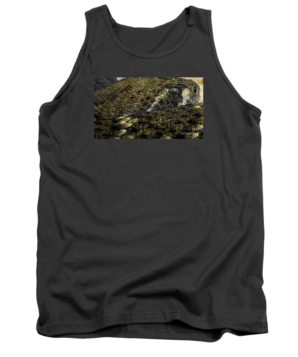 Reptile Tank Top featuring the photograph Trust in Me... by KD Johnson