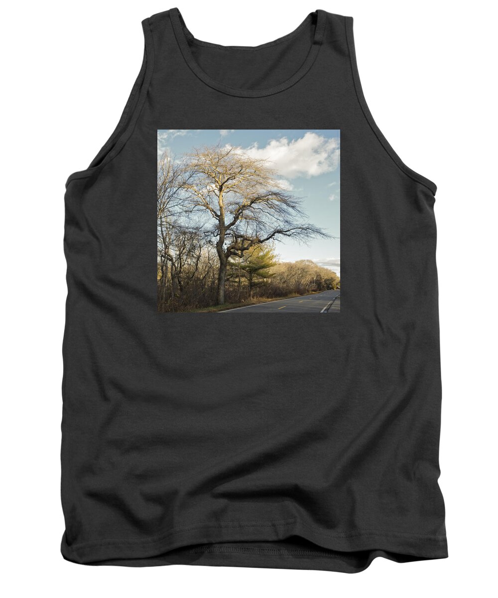 Cape Cod Tank Top featuring the photograph Tupelo Tree by Frank Winters