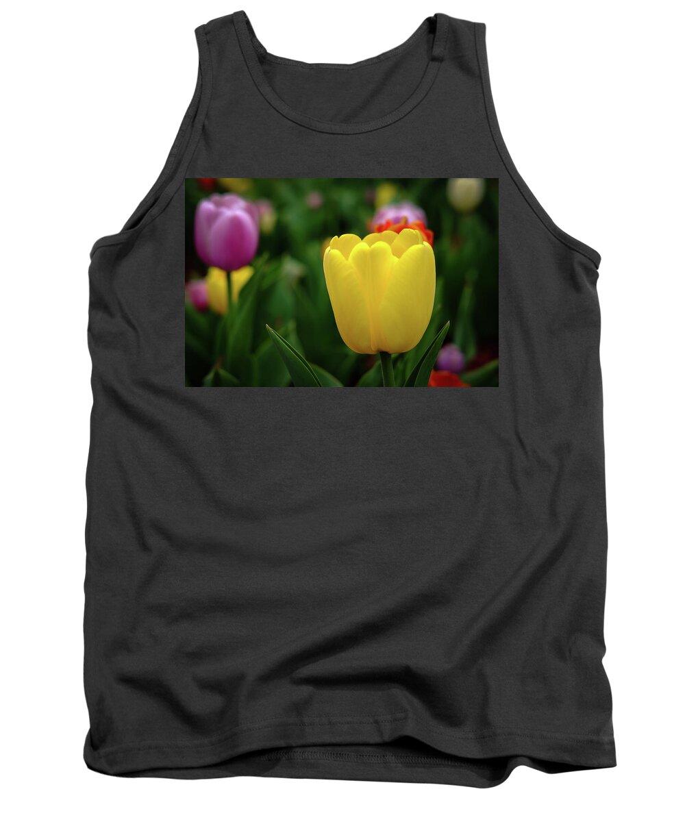 Flowers Tank Top featuring the photograph Tulips at Campus by Monte Stevens