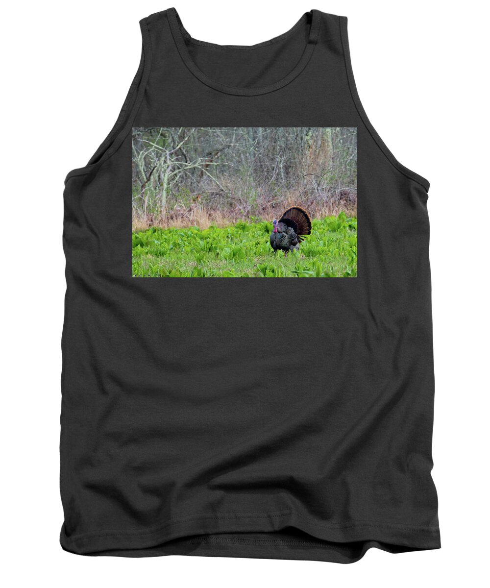 Turkey Tank Top featuring the photograph Turkey and Cabbage by Bill Wakeley